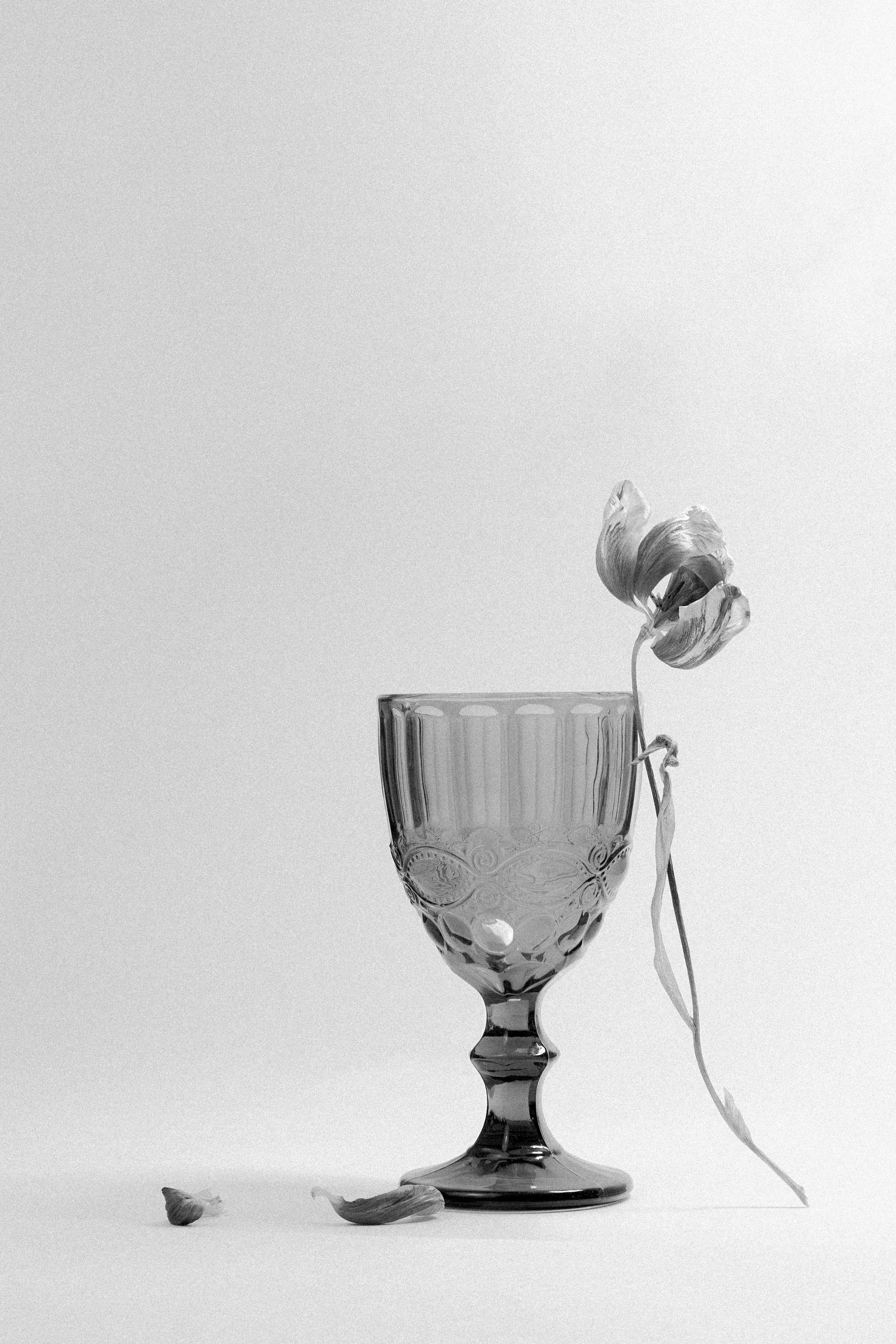 COMMERCIAL. Фотограф Злата Спицына