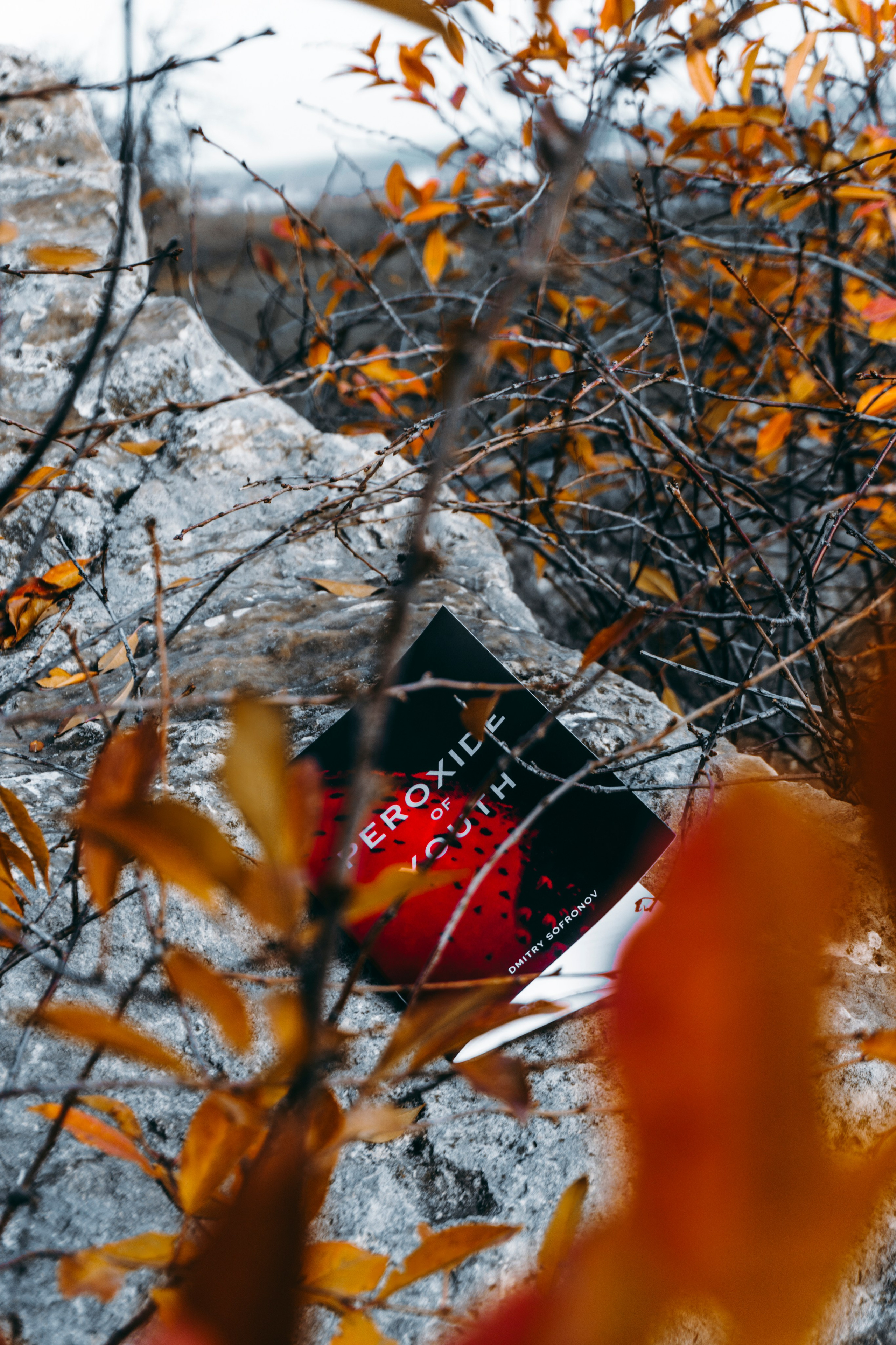 Мои Книги. Felixtones