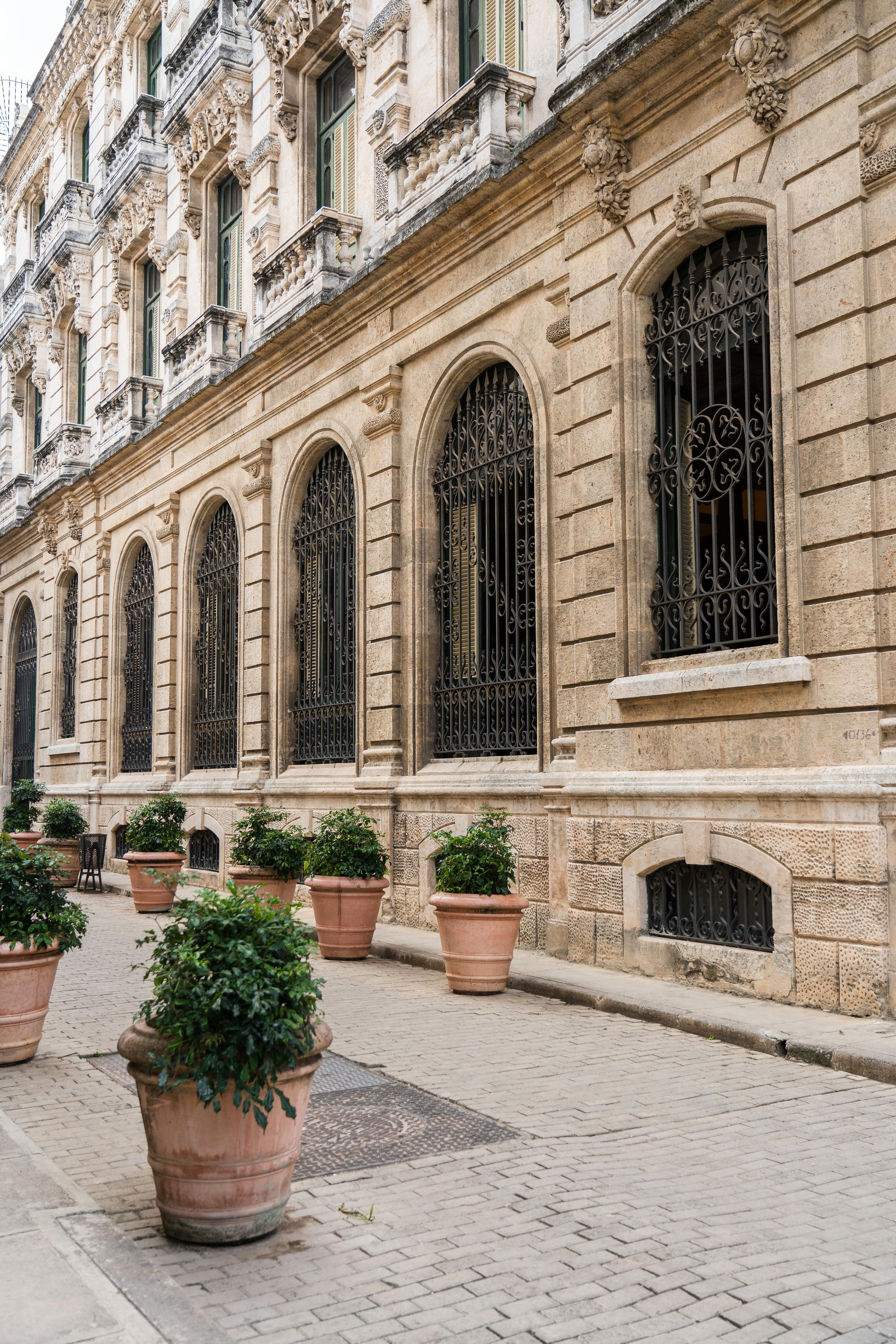 Гавана 2021. Каталожная и промышленная съемка в Москве Александр Плонский