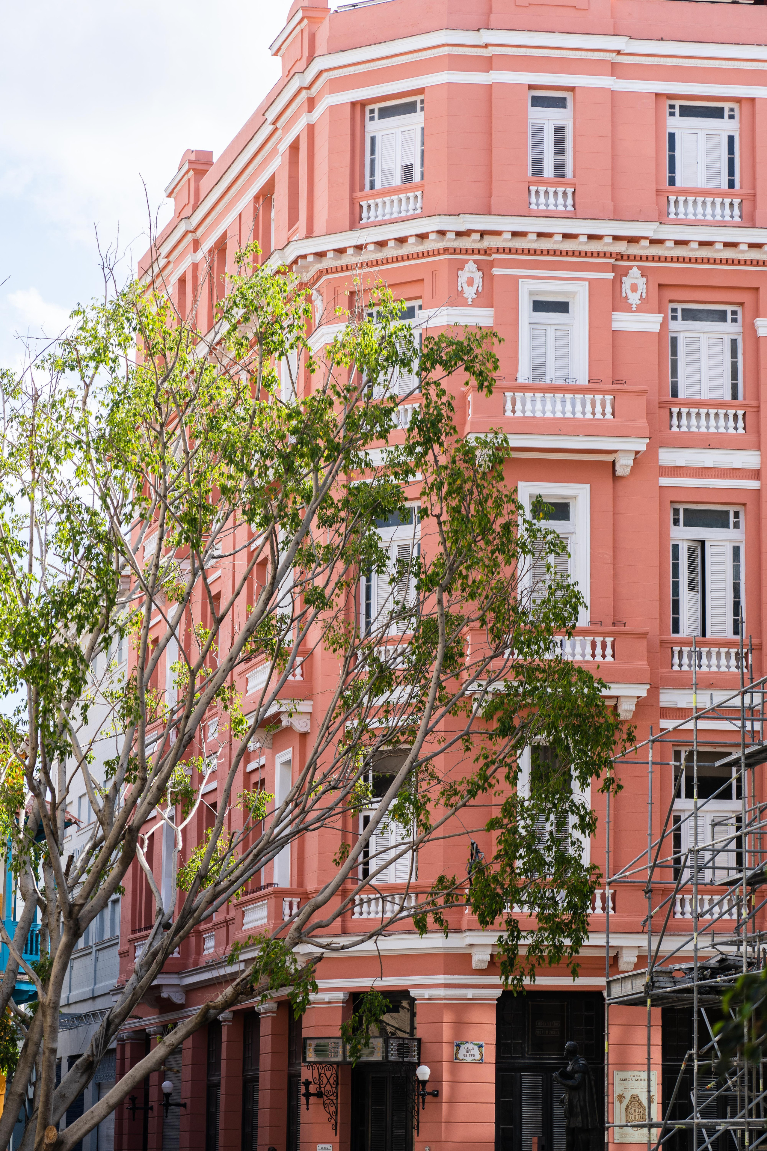 Гавана 2021. Каталожная и промышленная съемка в Москве Александр Плонский