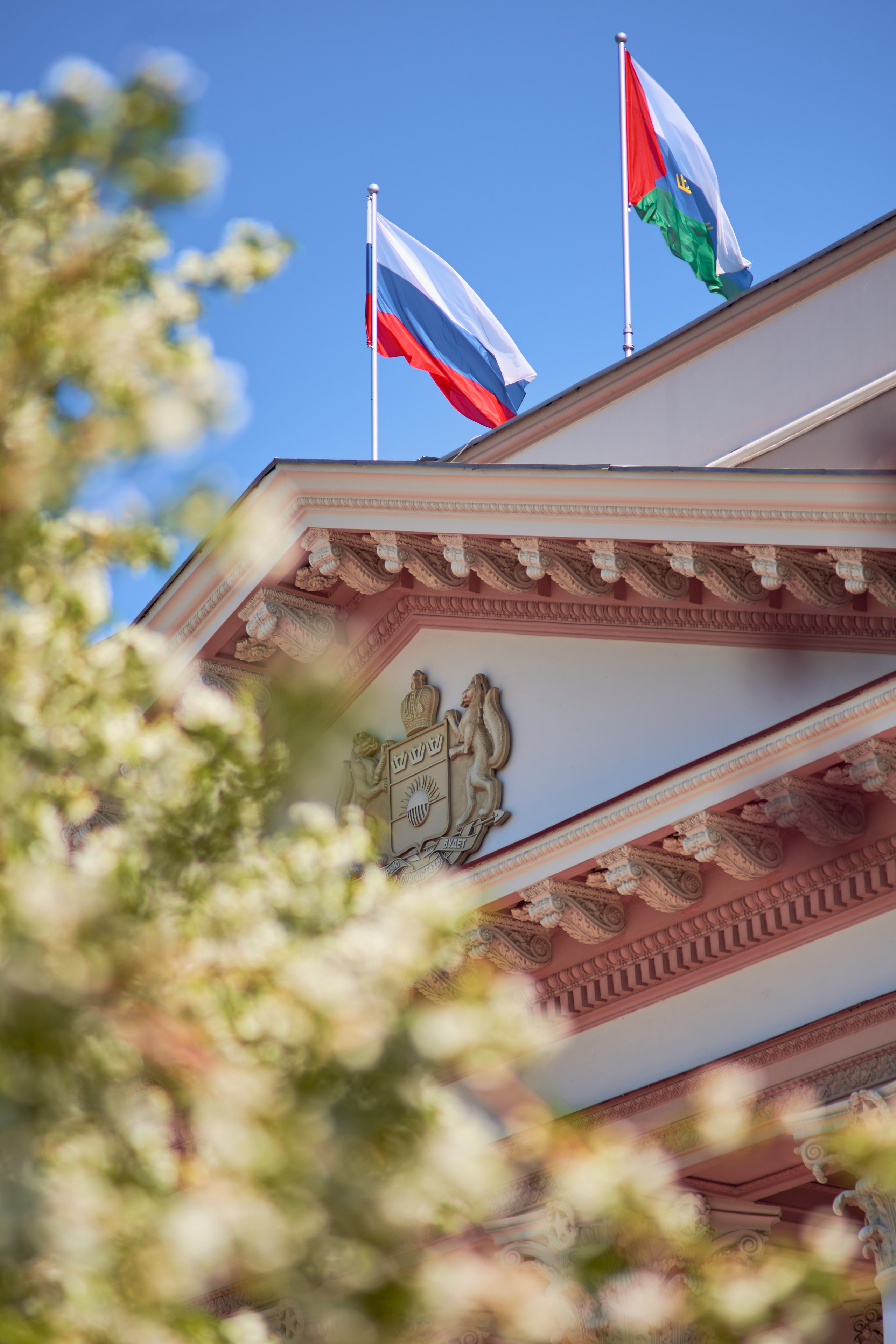 Цветение яблонь. Фотограф в Москве Анастасия Баева