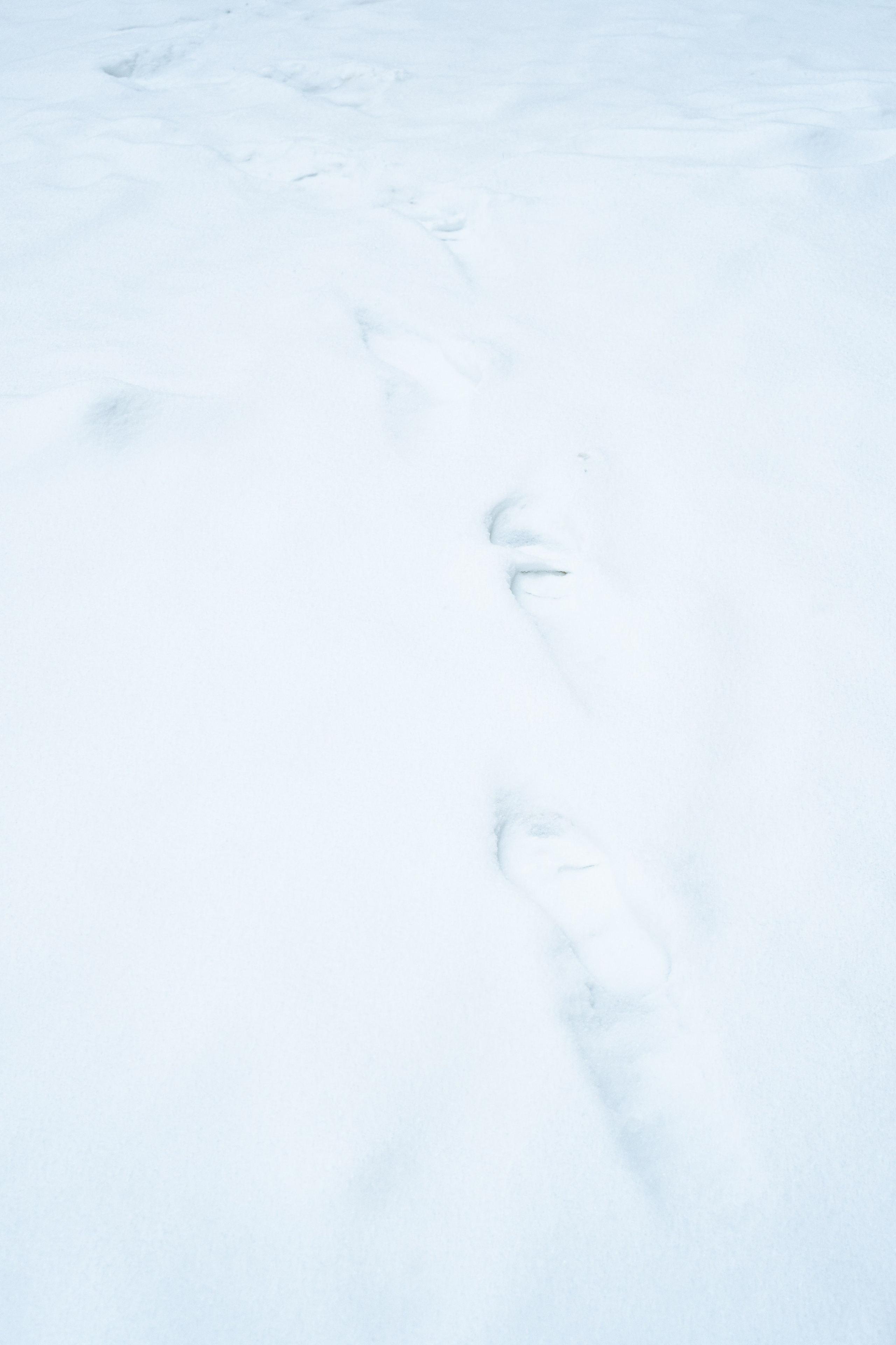 Снежная Москва. Репортажный фотограф в Москве Аида Исламова