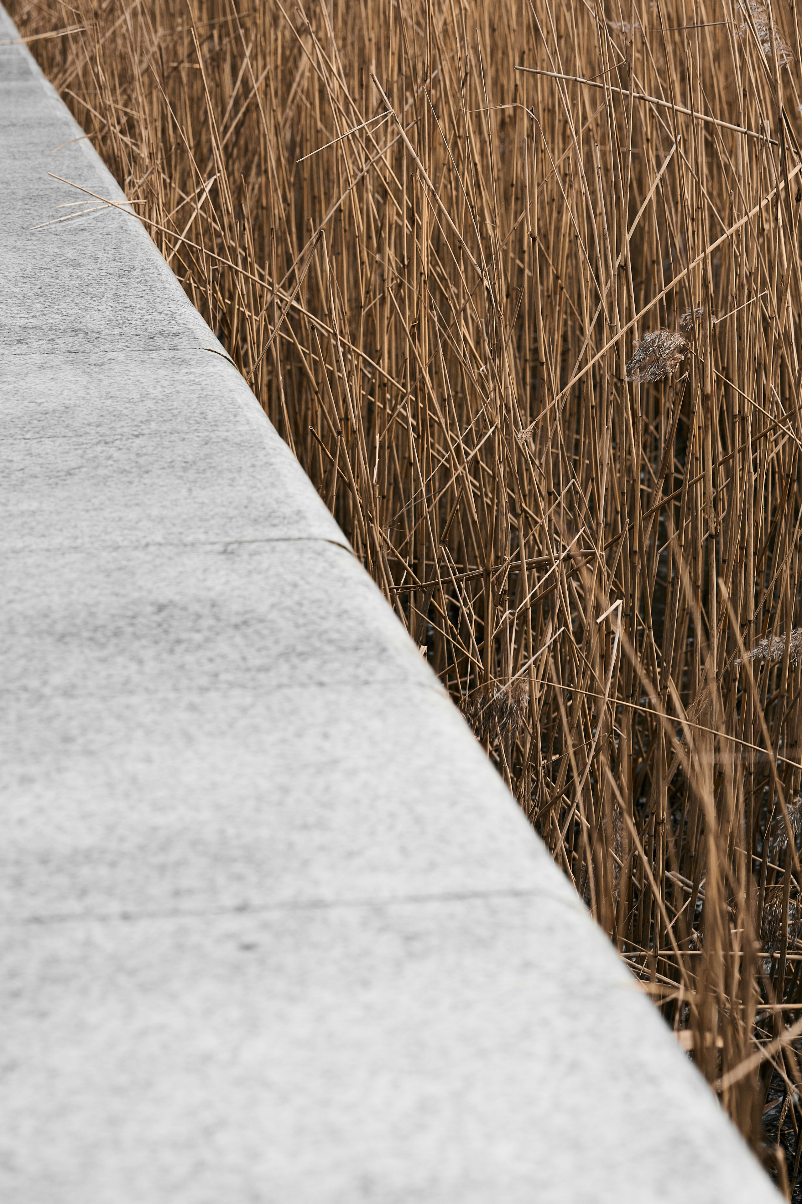 Снова Светлогорск. Фотограф в Москве Анастасия Баева