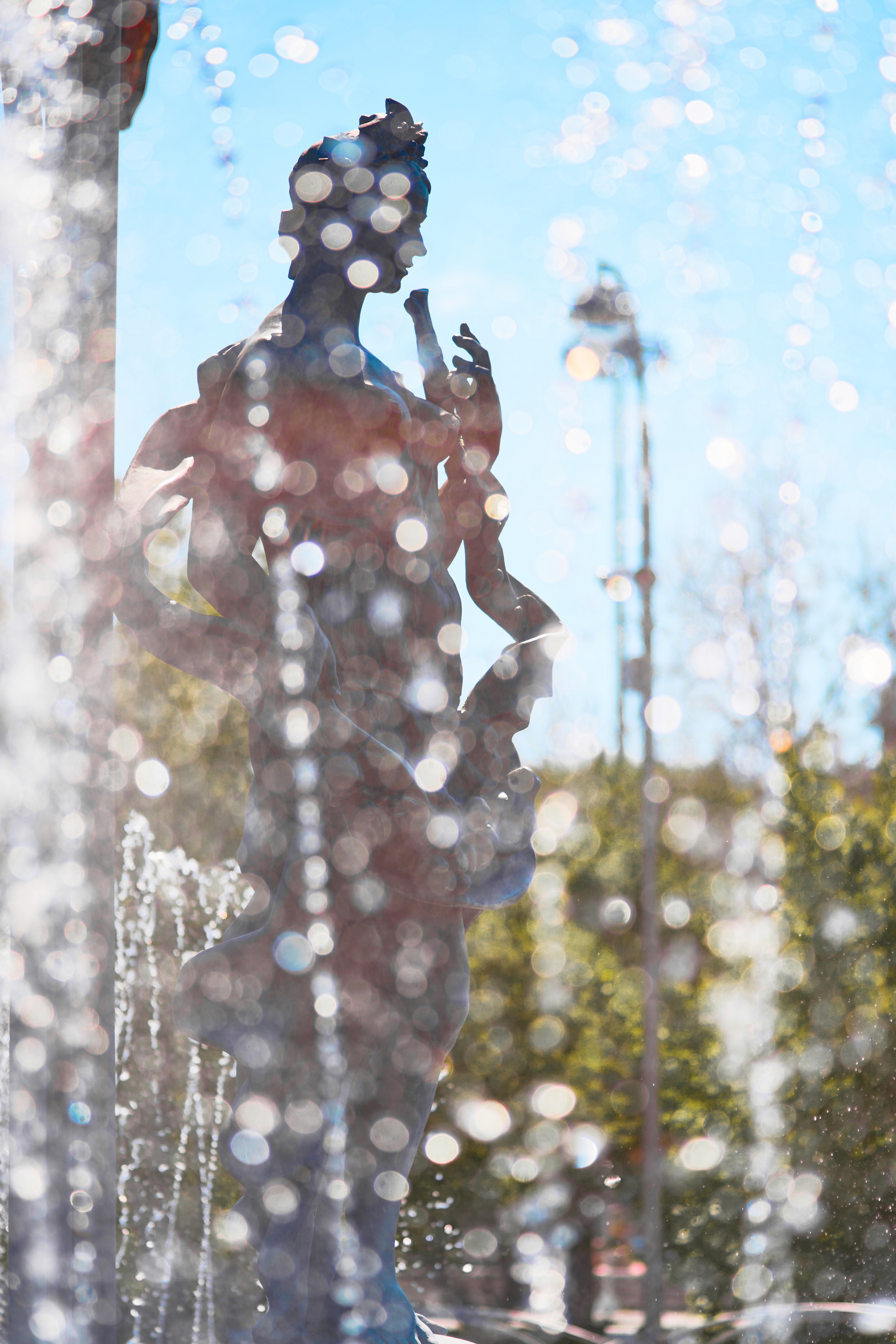 Цветение яблонь. Фотограф в Москве Анастасия Баева