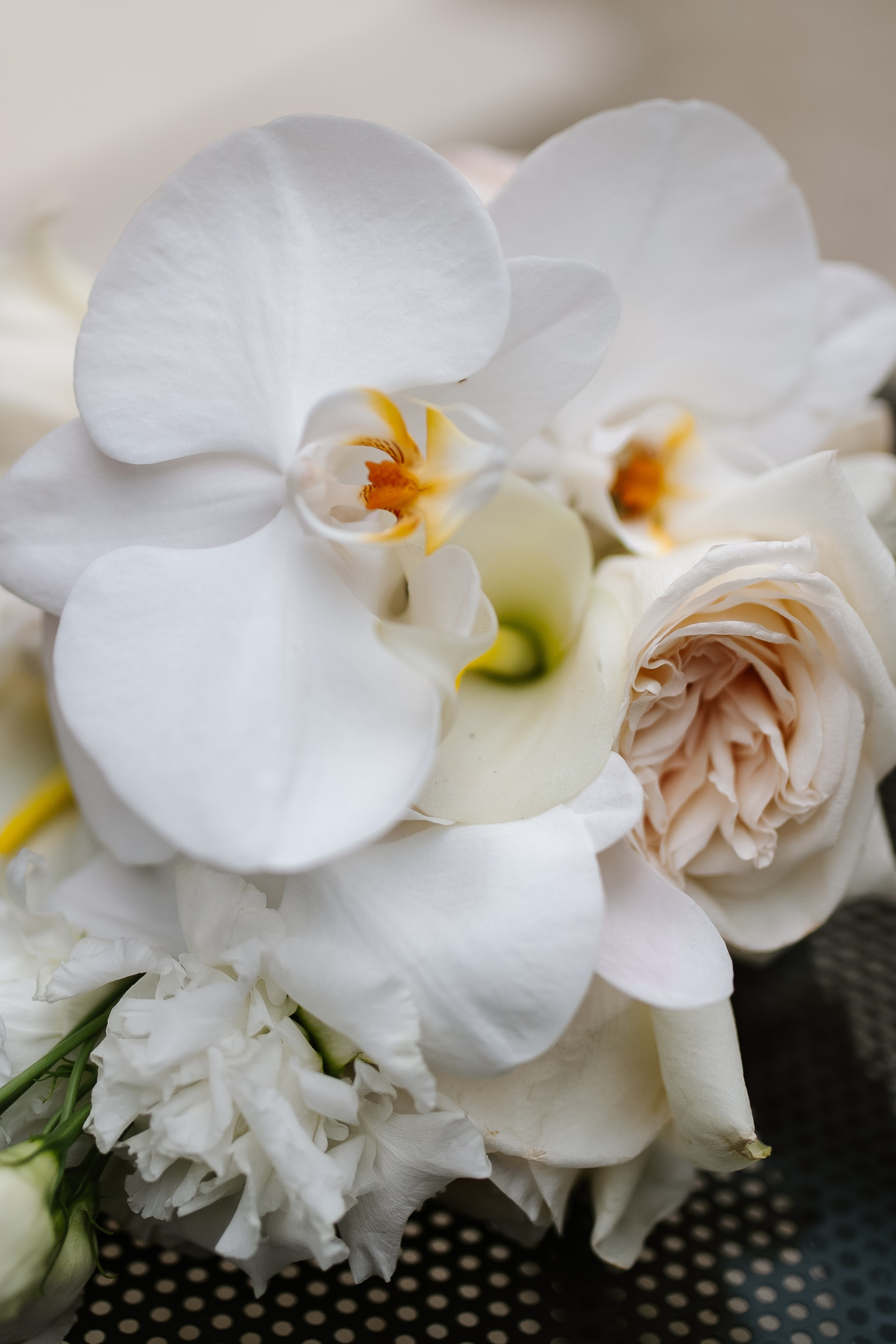 Свадебная фотосессия. Фотограф в Минске — Юлия Деяк. Фотосессии в Минске