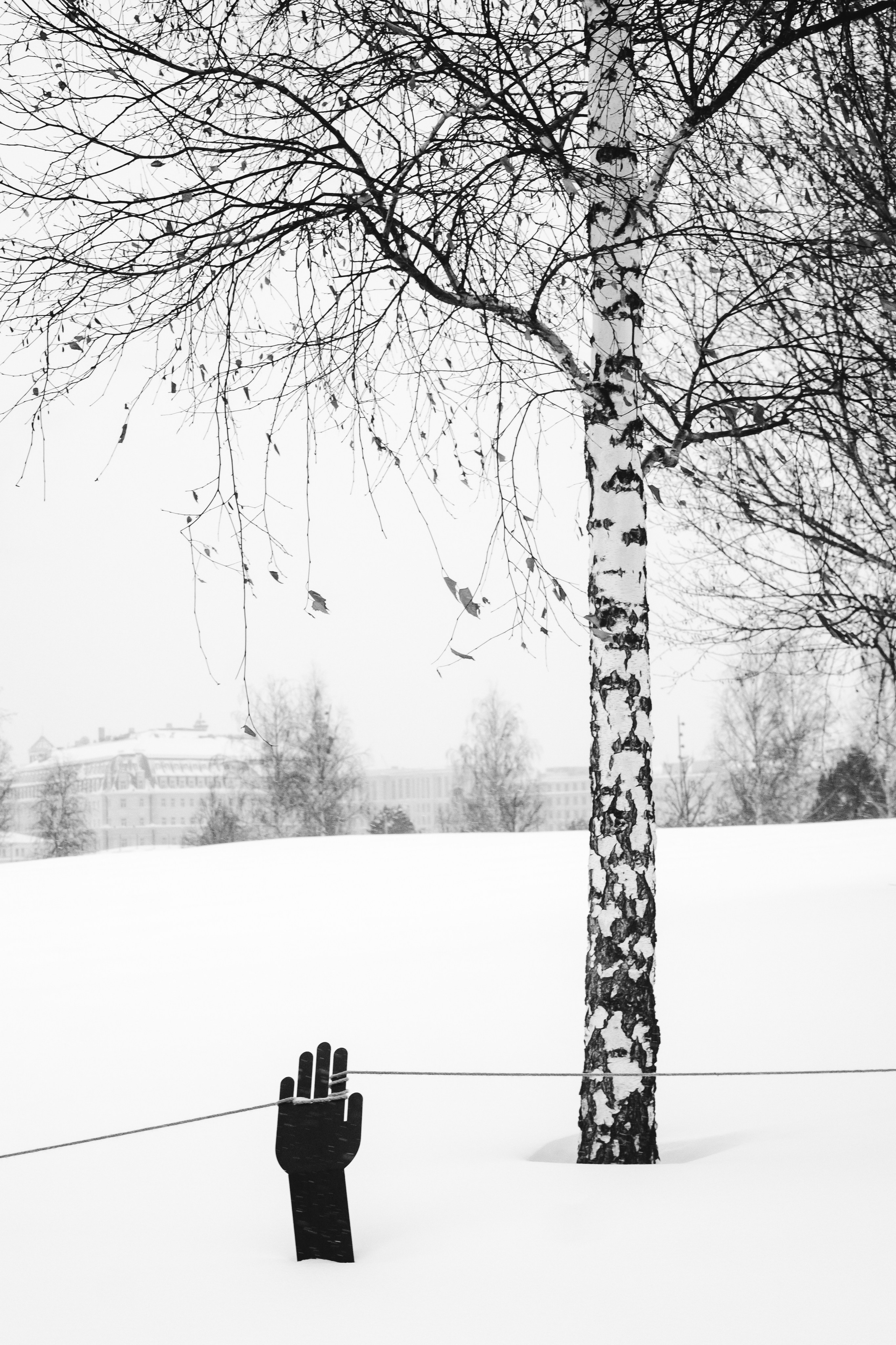 Снежная Москва. Репортажный фотограф в Москве Аида Исламова