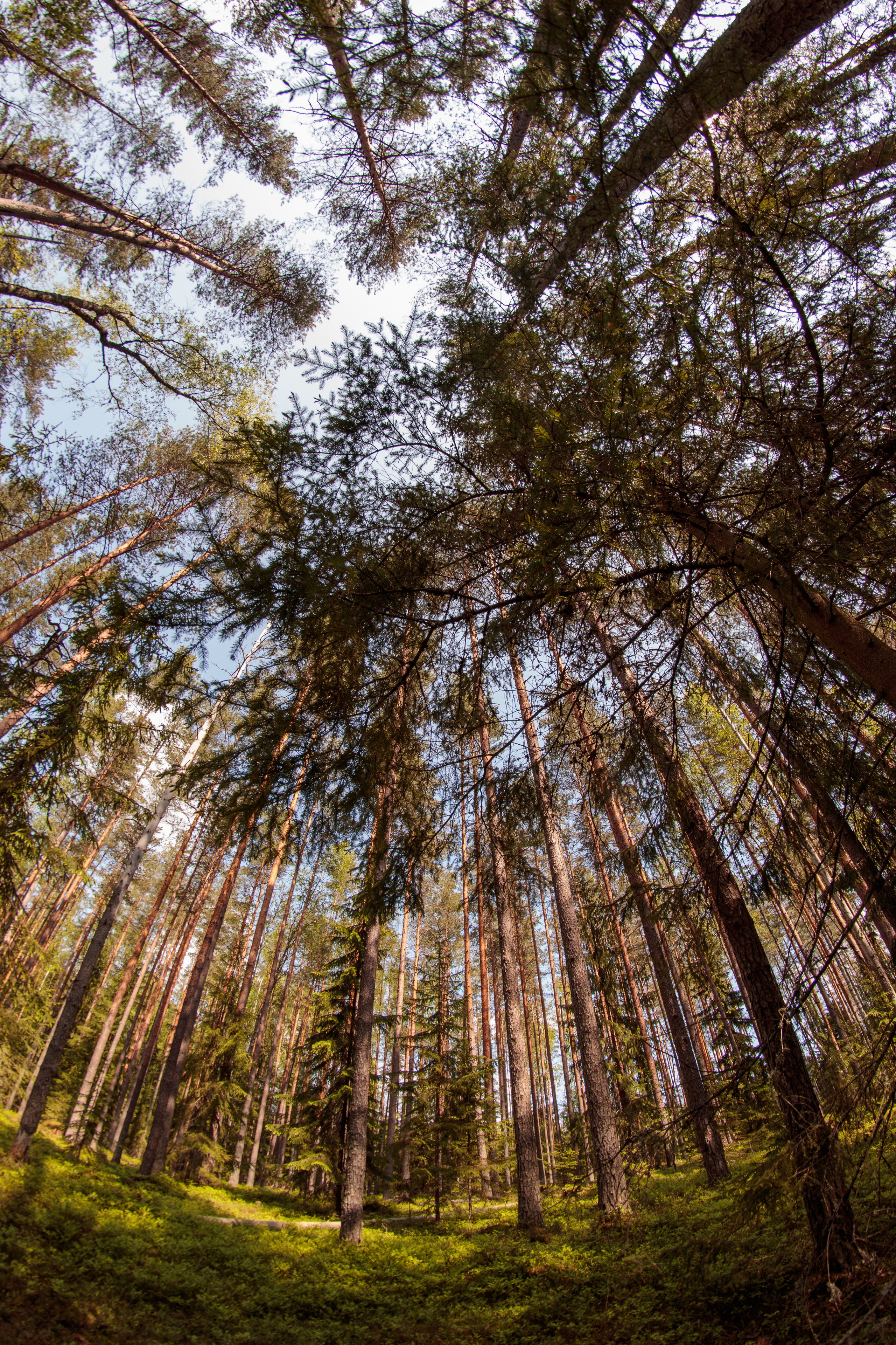 Постеры. Портретный и концертный фотограф в Санкт-Петербурге Егор Телятников