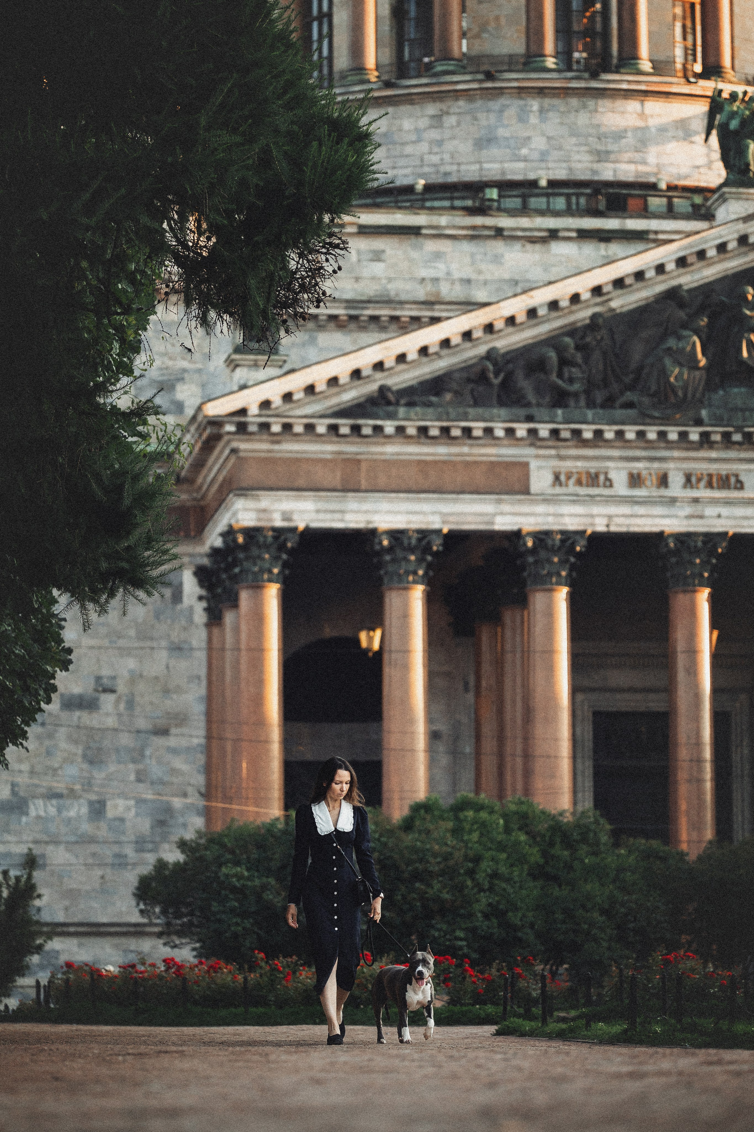 Услуги. Фотограф для людей и их питомцев Вика Шальнева