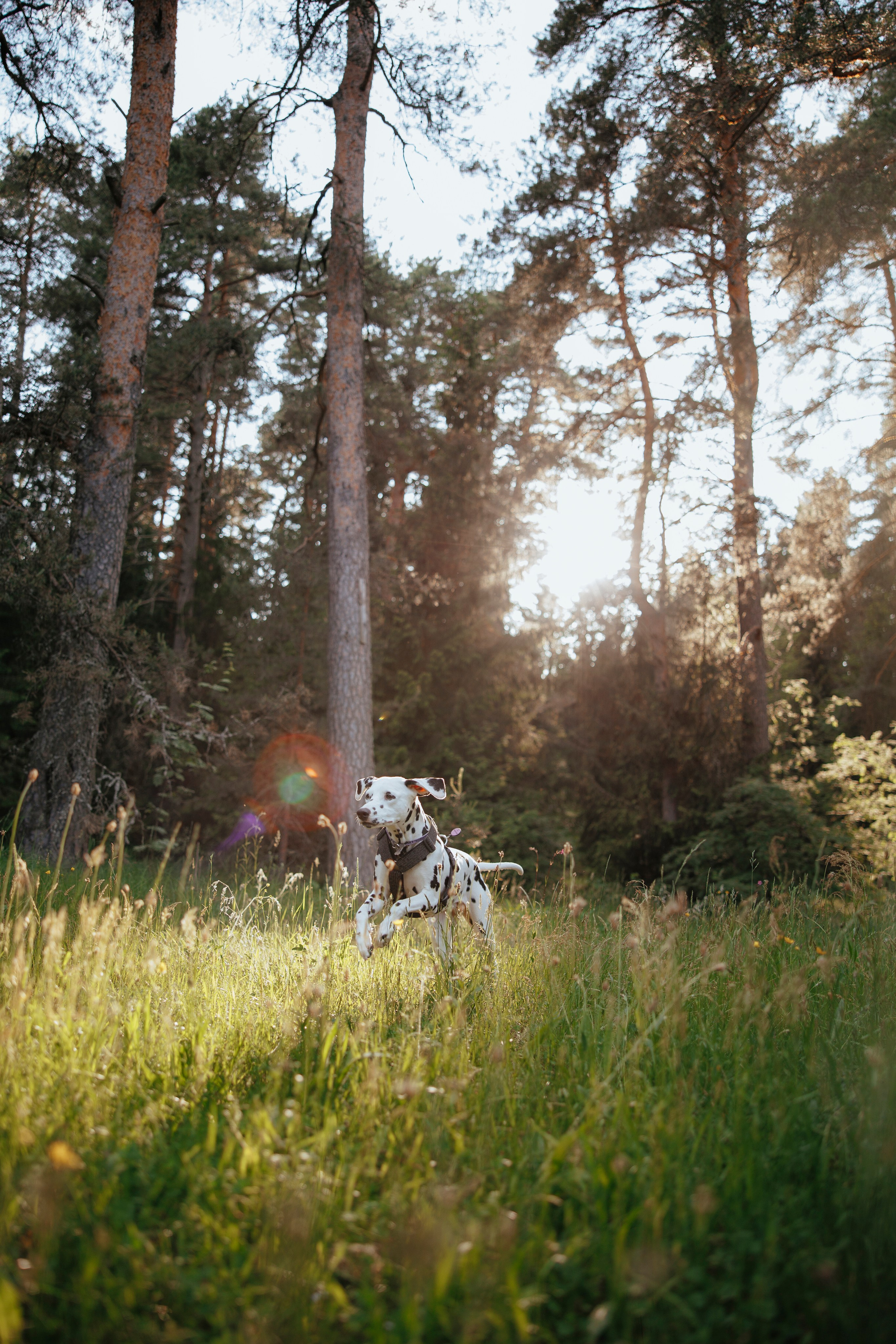 FAQ. Анастасия Белаш