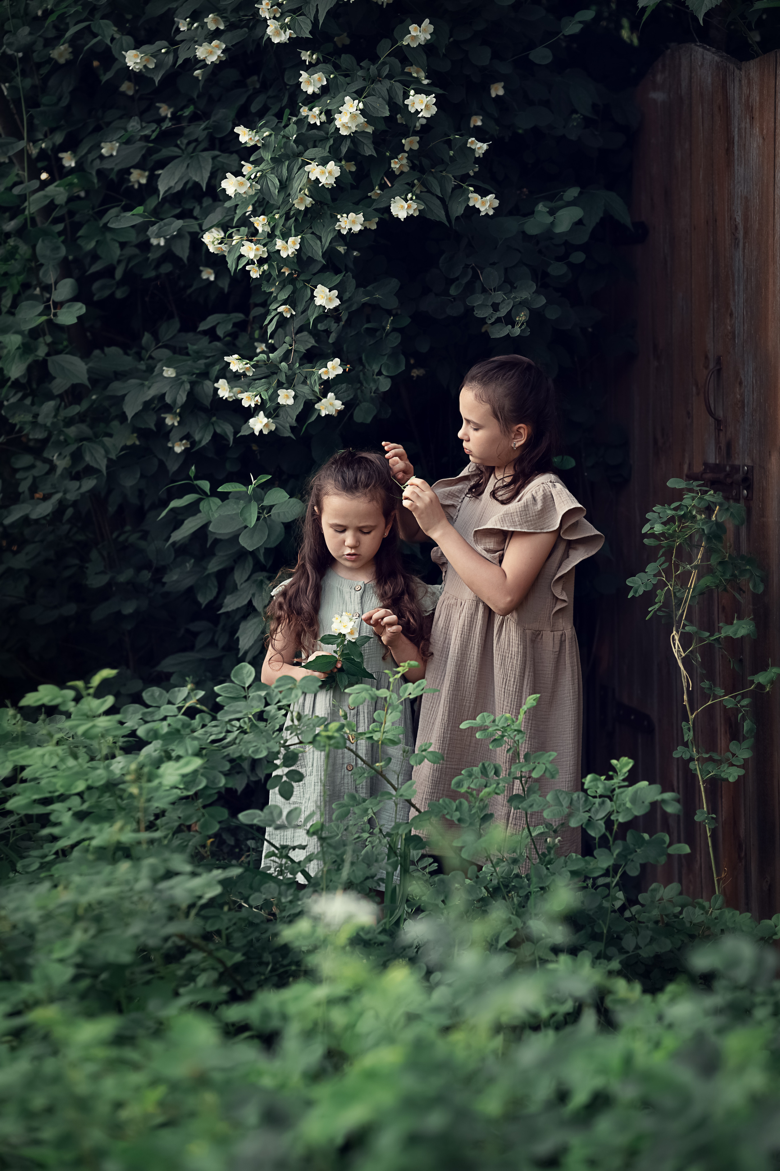 Дарья Гурьева — детский и семейный фотограф