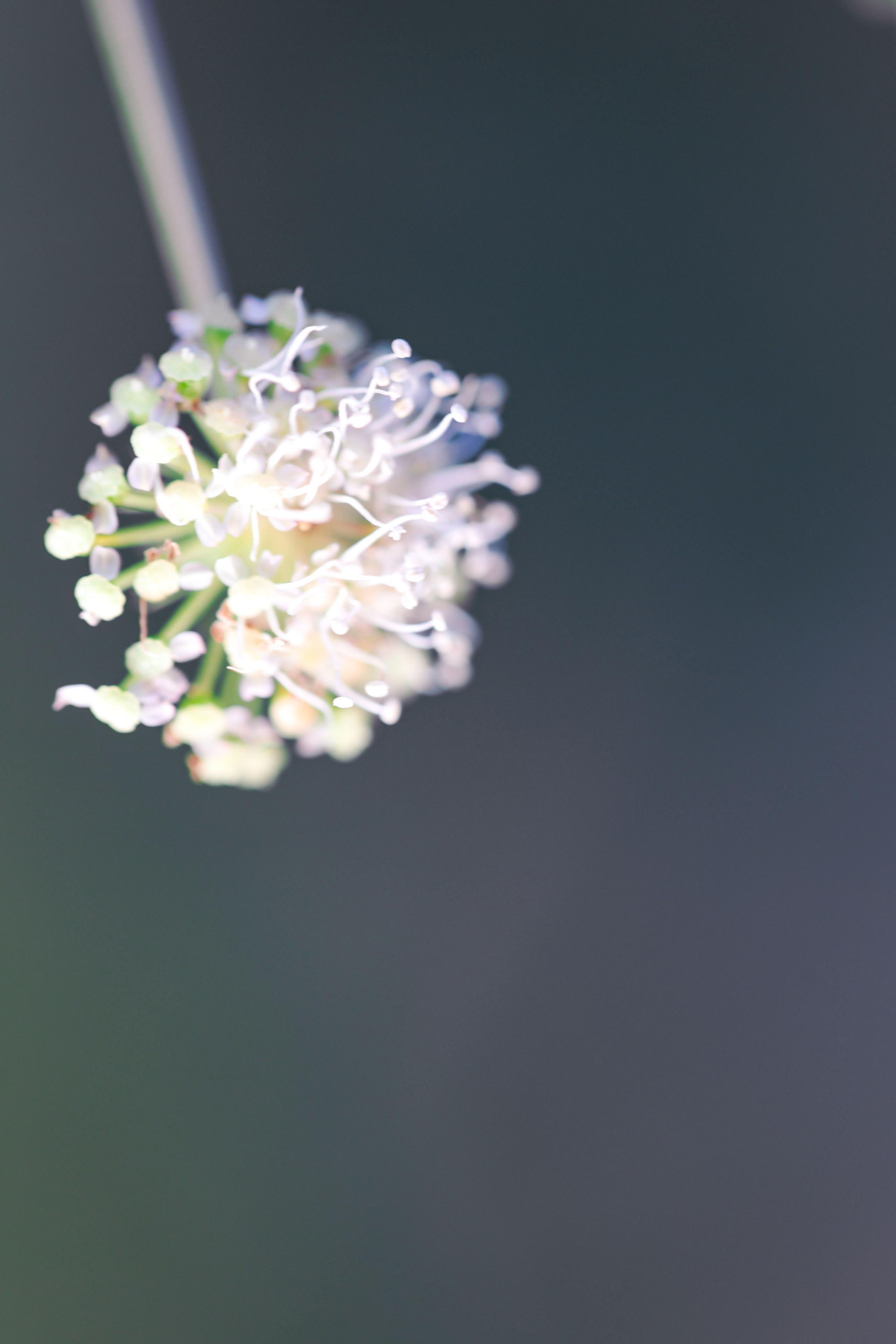 Фотограф Максим Татаринов