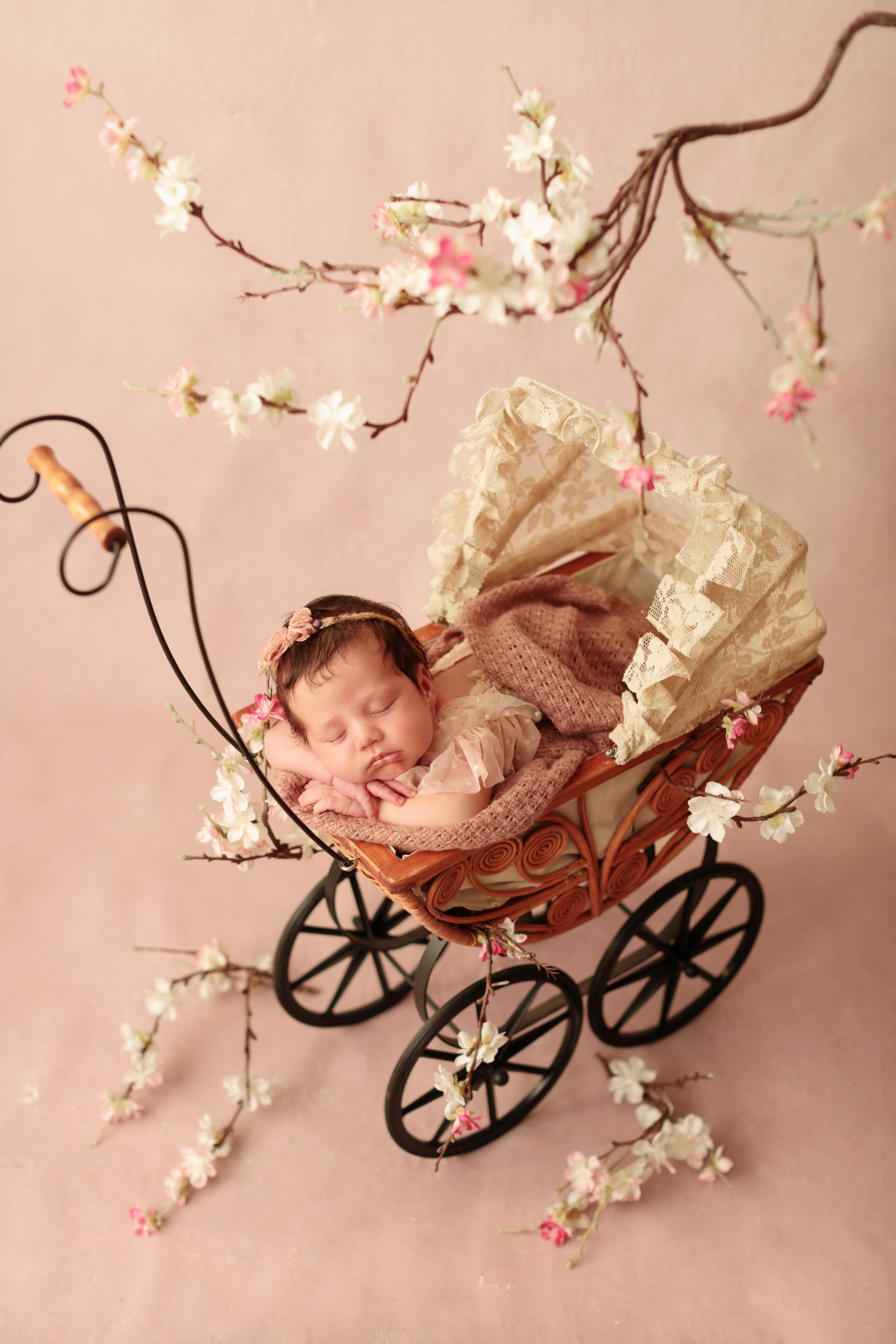 Newborn. Olga Alice Pro Photo