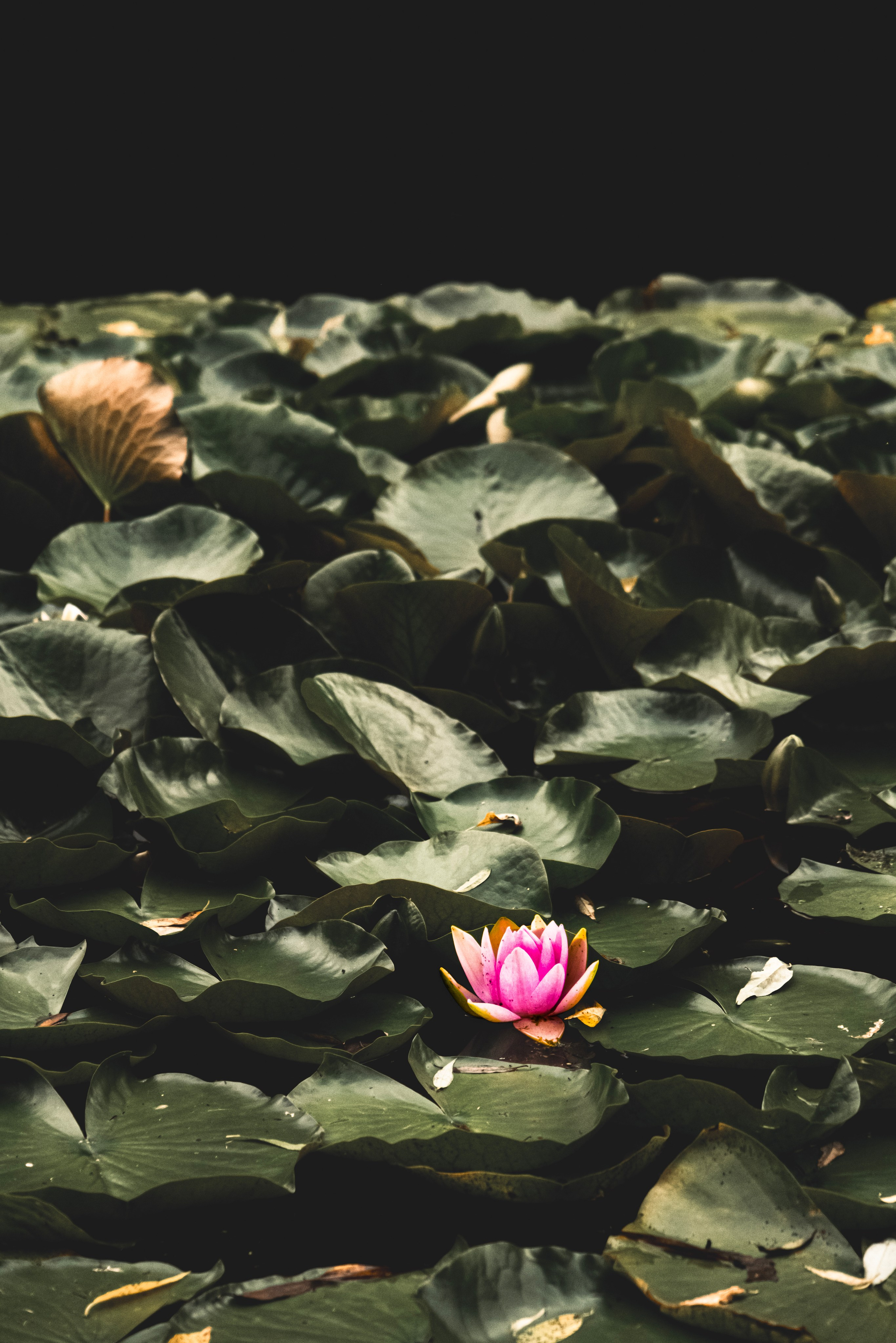 Beauties. M. Neizvestniy — уличная и спортивная фотография