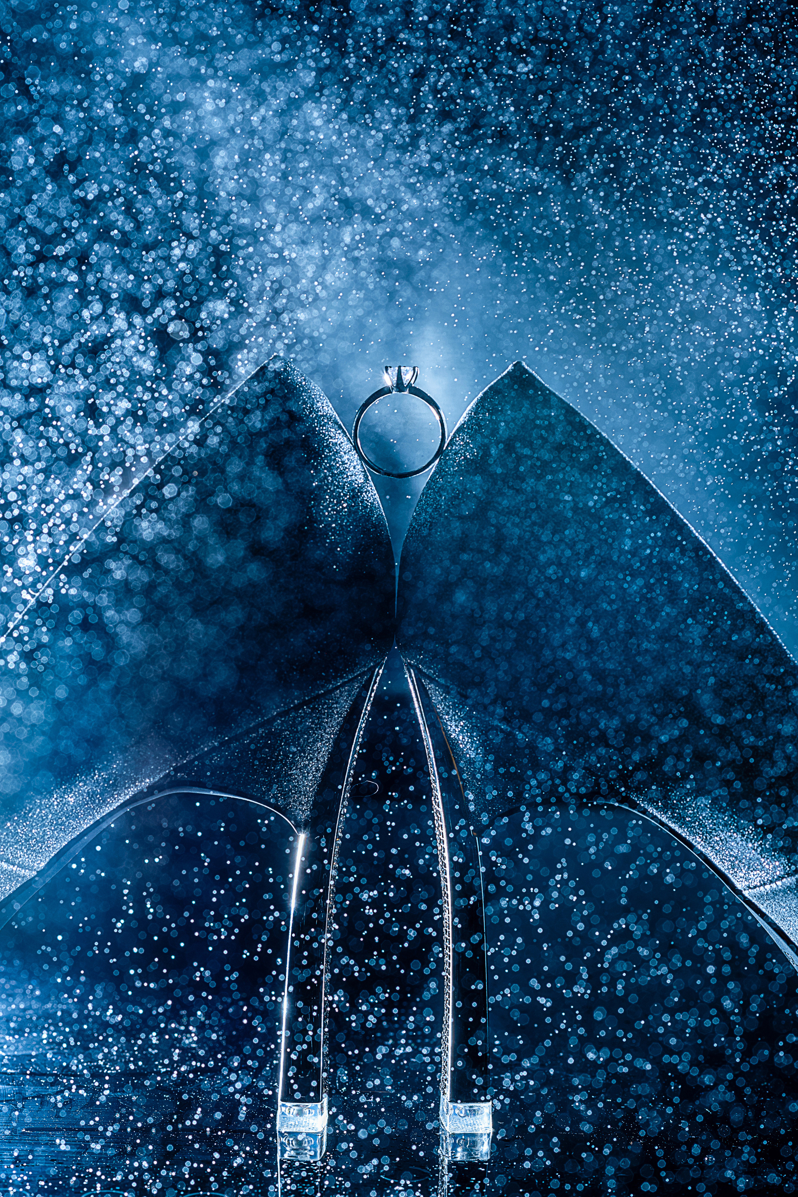 заказать свадебную фотосессию