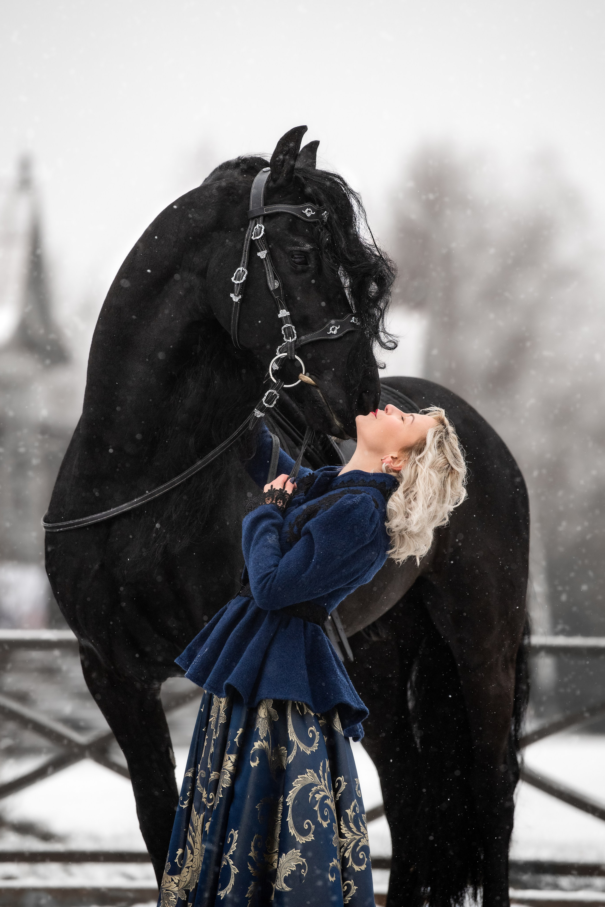 Каталог лошадей. Конный фотограф в Москве — Дарья Алексеева | Премиальные фотосессии с лошадьми