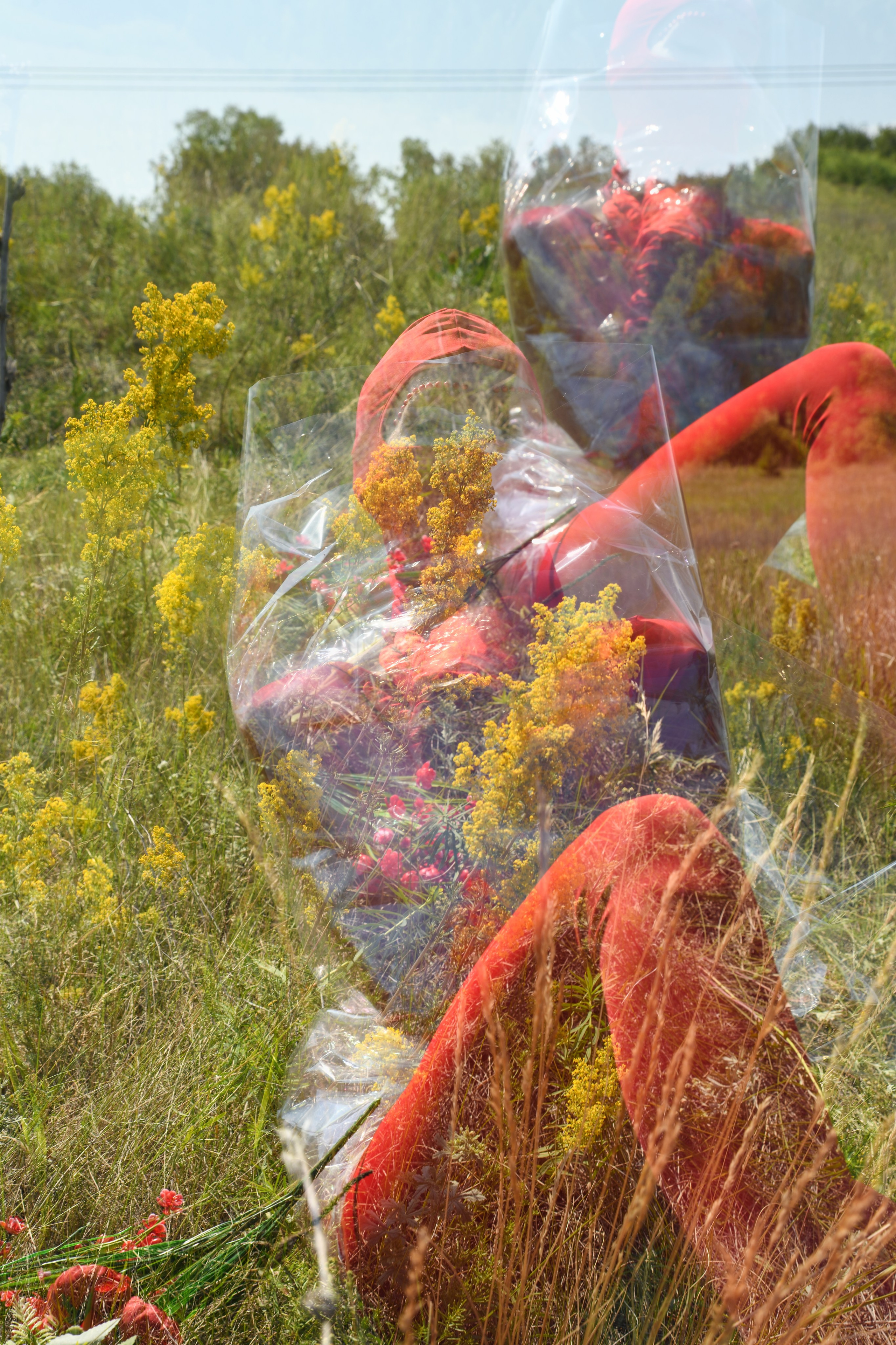 TERRA NOSTRA. Yulia Yurchevskaya | Art Director & Visual Visionary