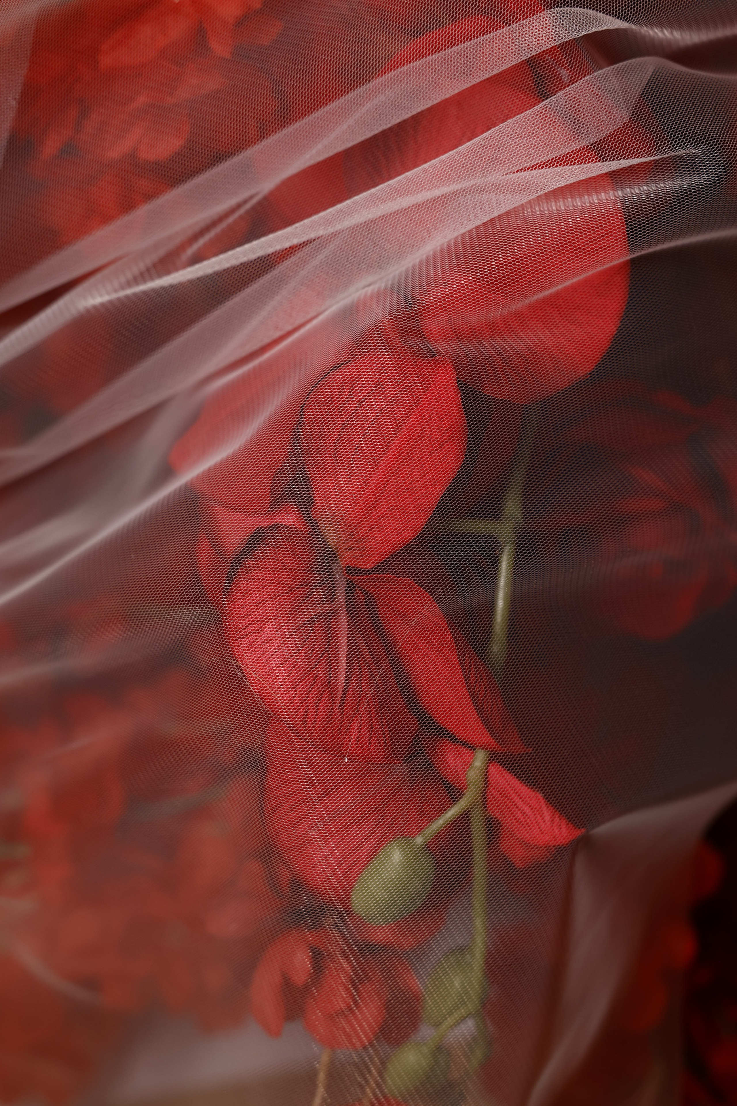 Услуги. Свадебный фотограф Вало Мелконян|Город Сочи