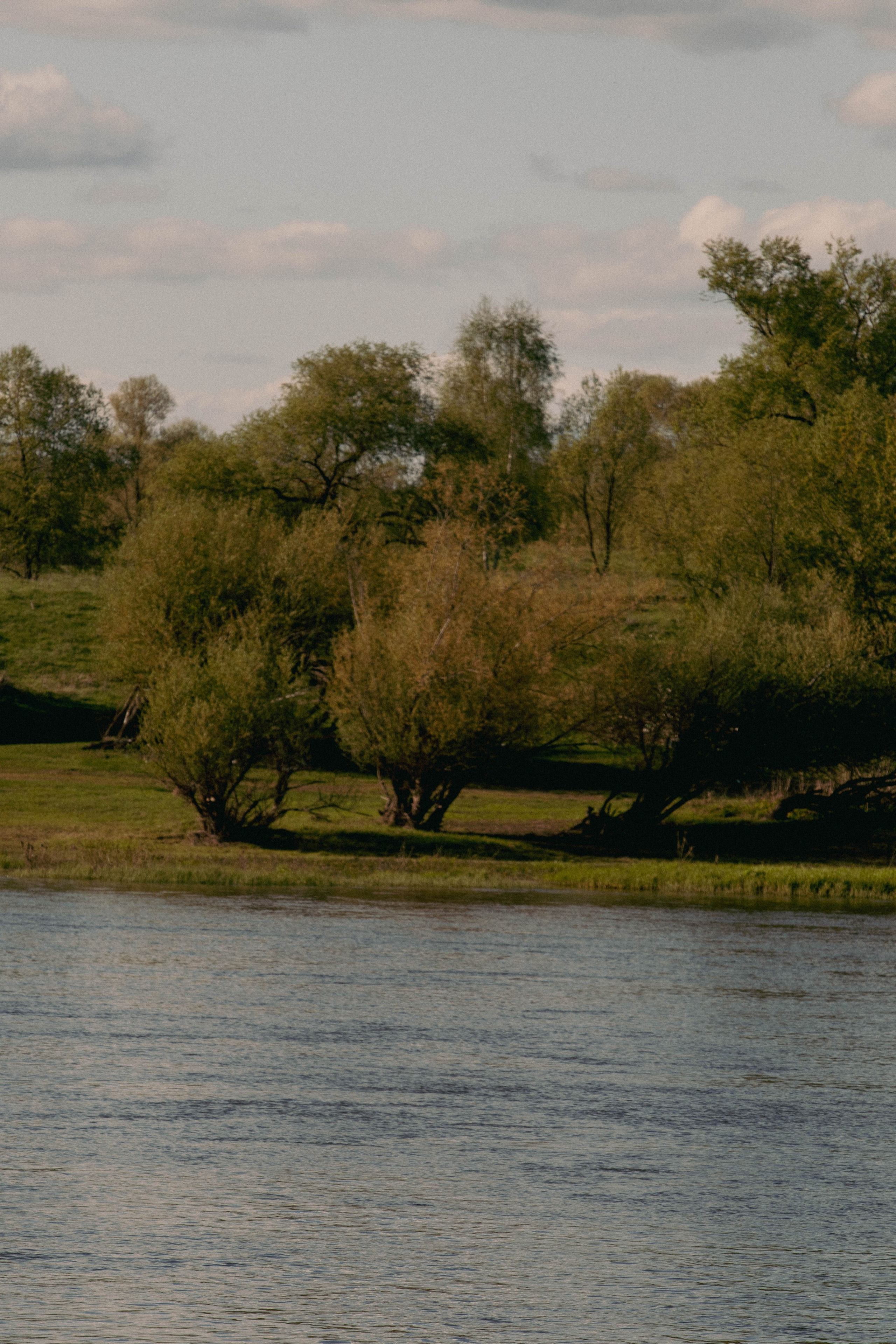 Музей-заповедник В. Д. Поленова. Концертный фотограф