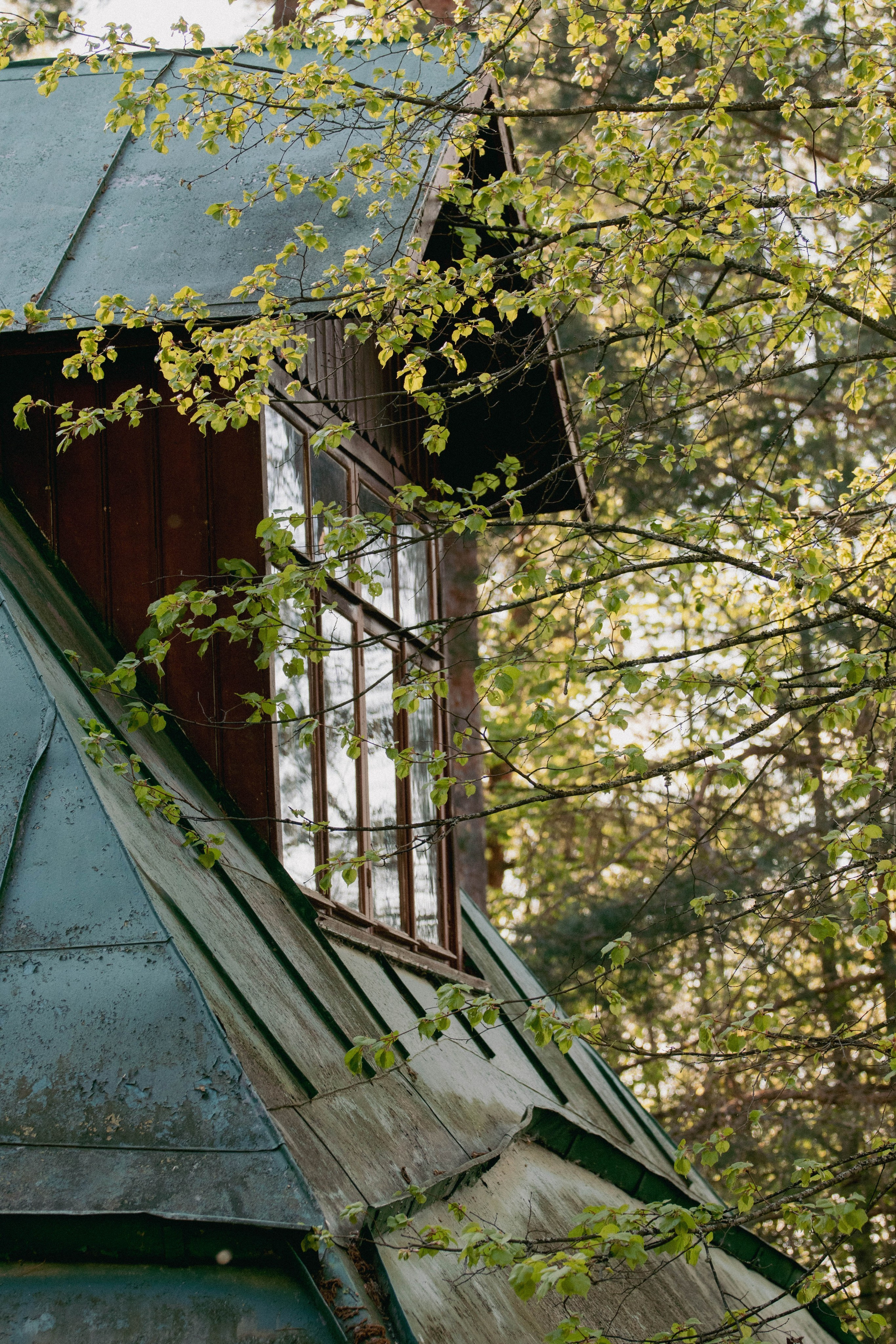 Музей-заповедник В. Д. Поленова. Концертный фотограф