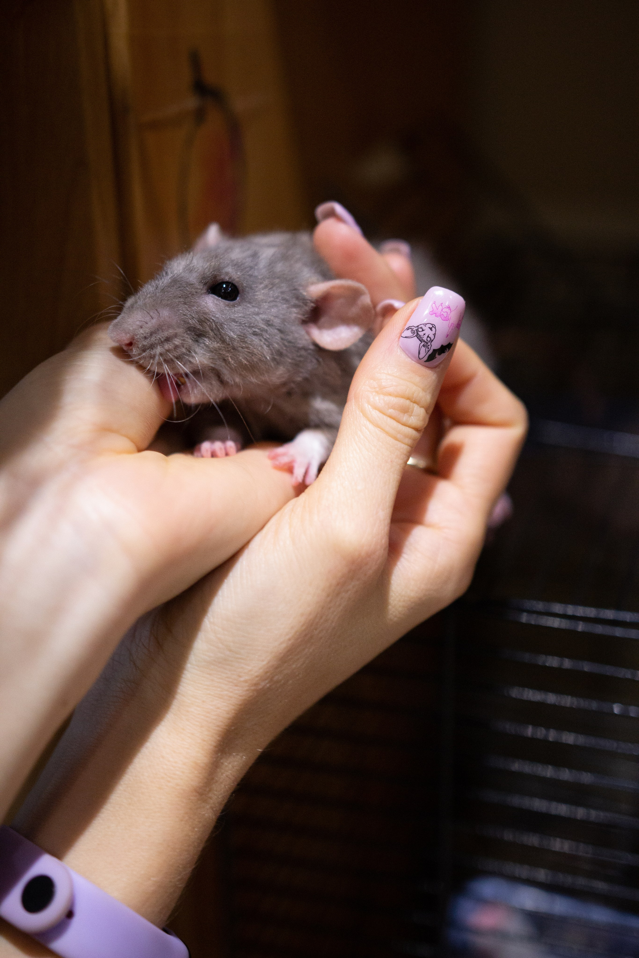 Клиенту. Елена Ушакова профессиональный фотограф в Санкт-Петербурге