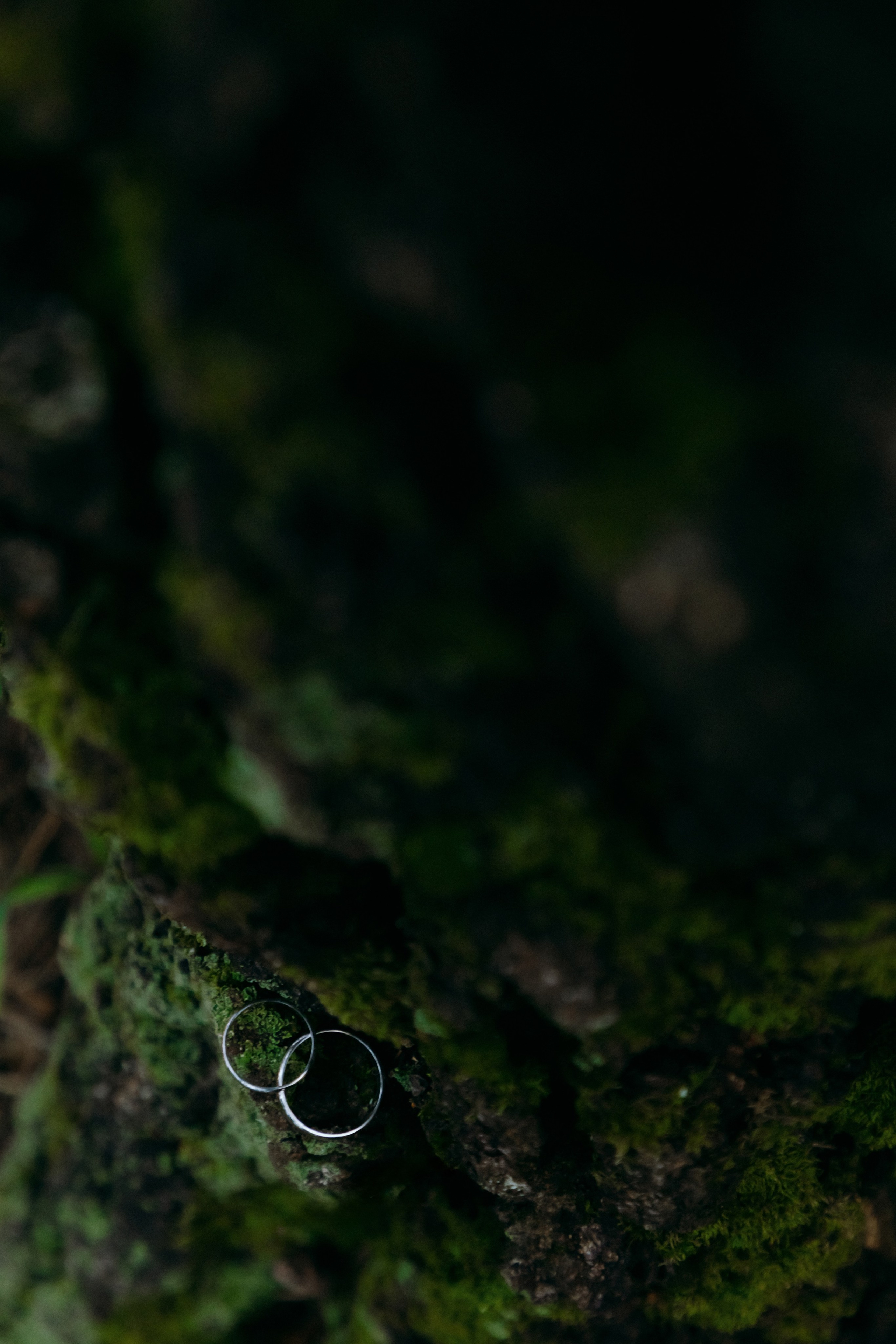 Свадебный фотограф в Воронеже Снежана Ведловская