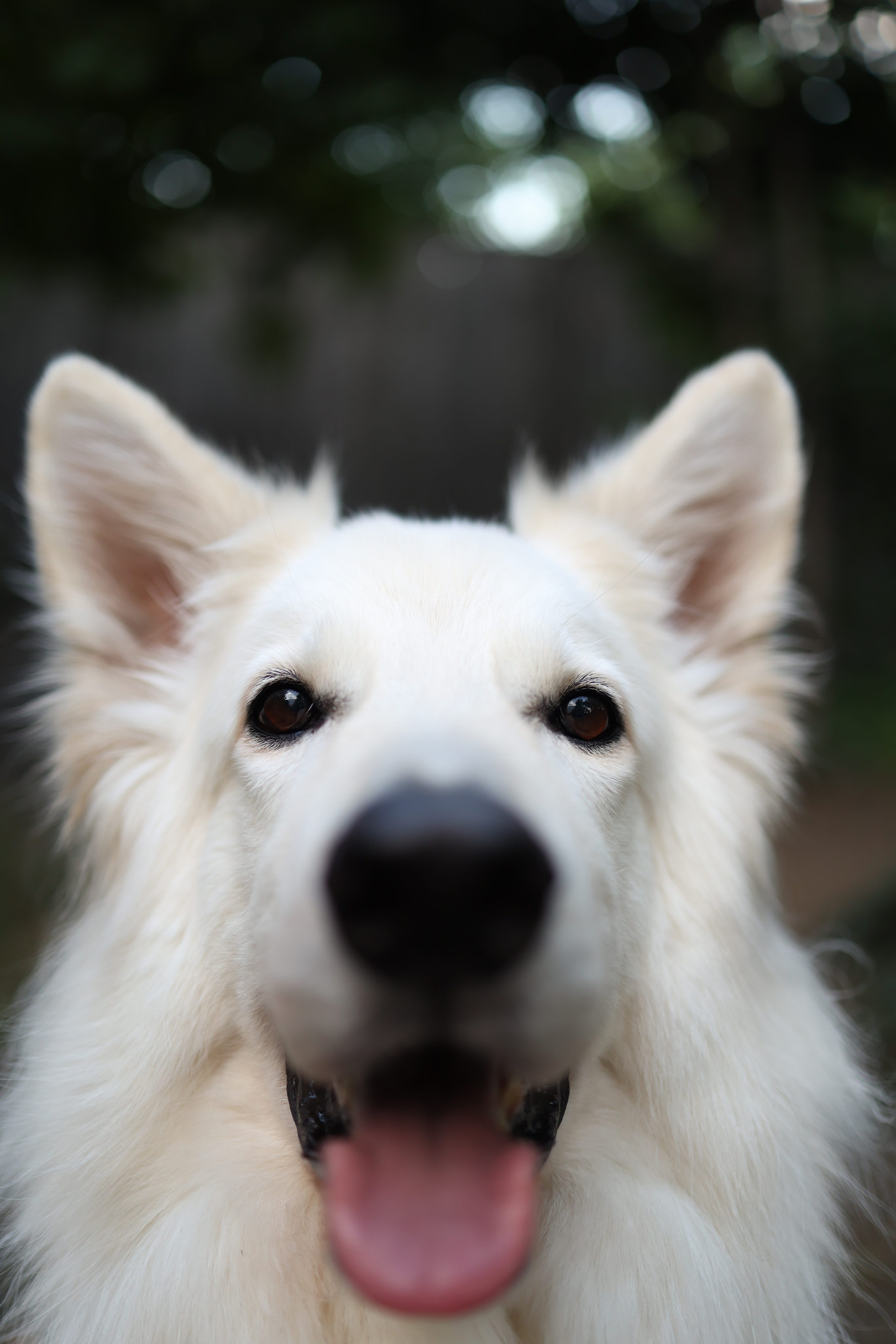 ГРИП и как создать красивое размытие фона