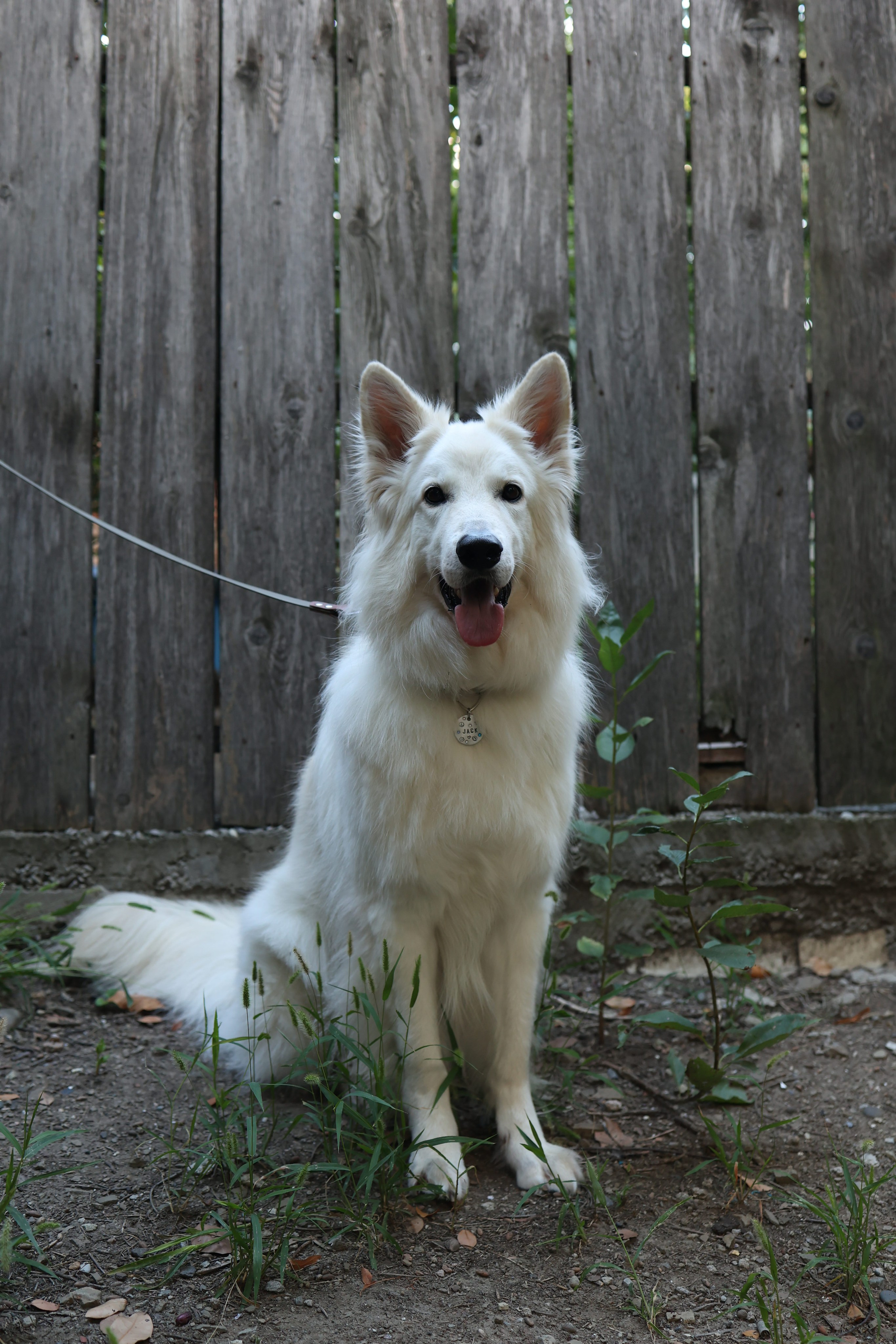 ГРИП и как создать красивое размытие фона