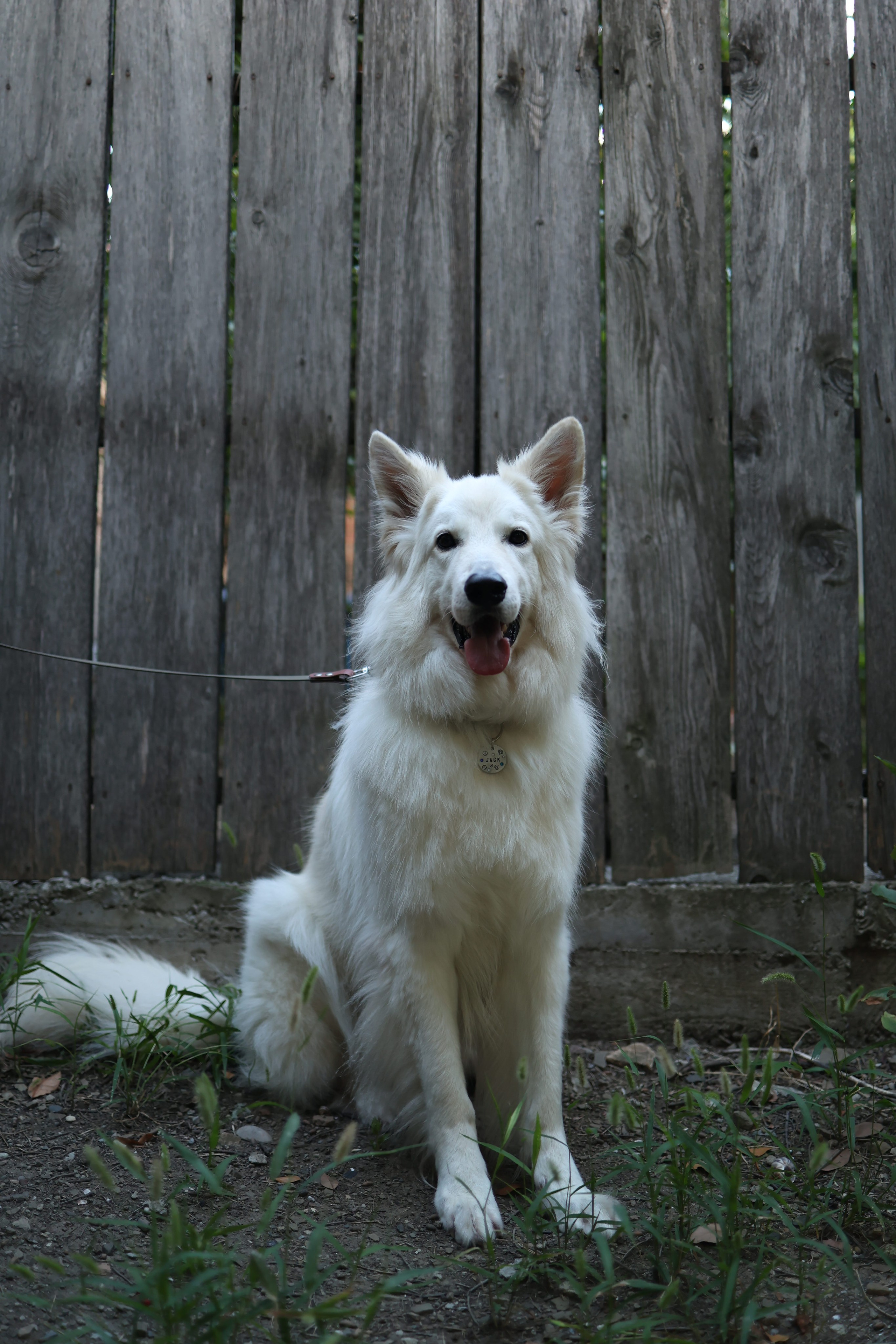 ГРИП и как создать красивое размытие фона