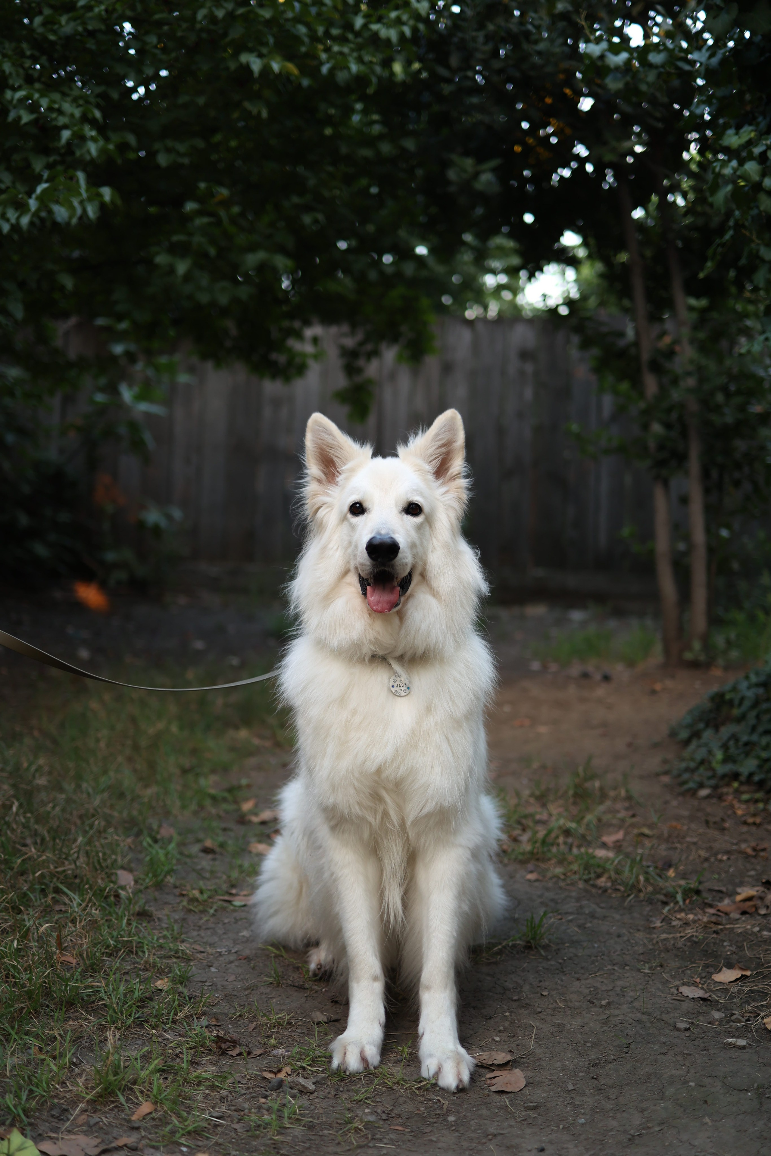 ГРИП и как создать красивое размытие фона