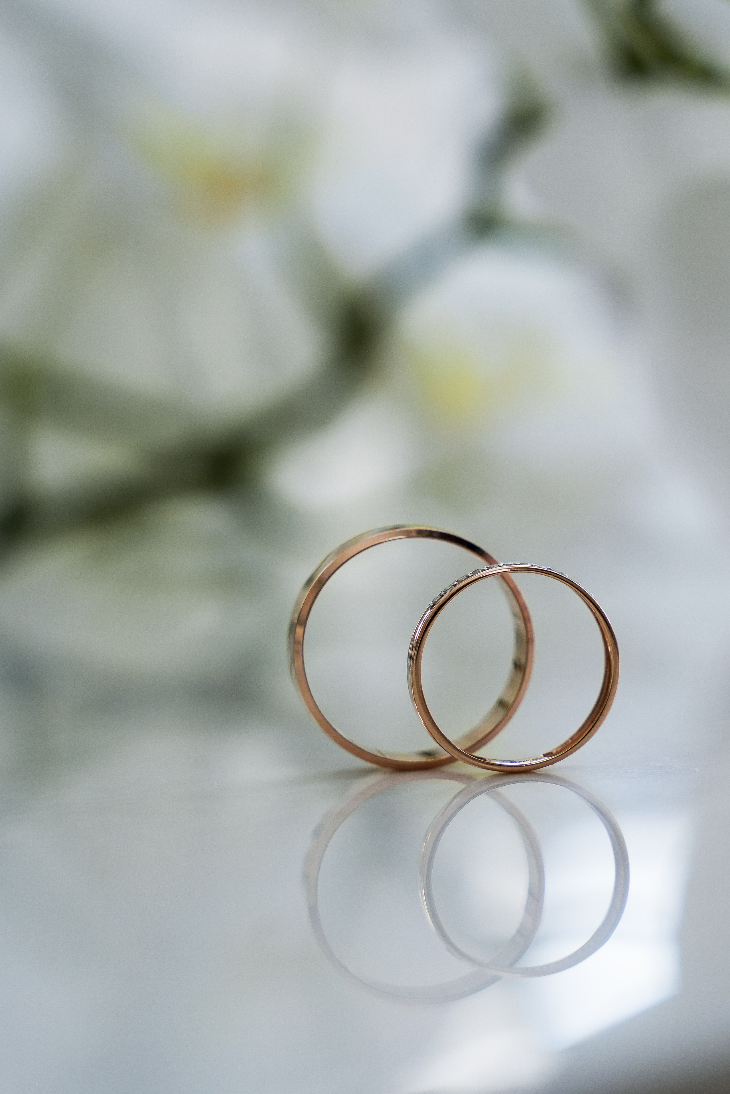 Стоимость и условия. Фотограф Новороссийск | Геленджик и ЮФО Эльвина Ясинская