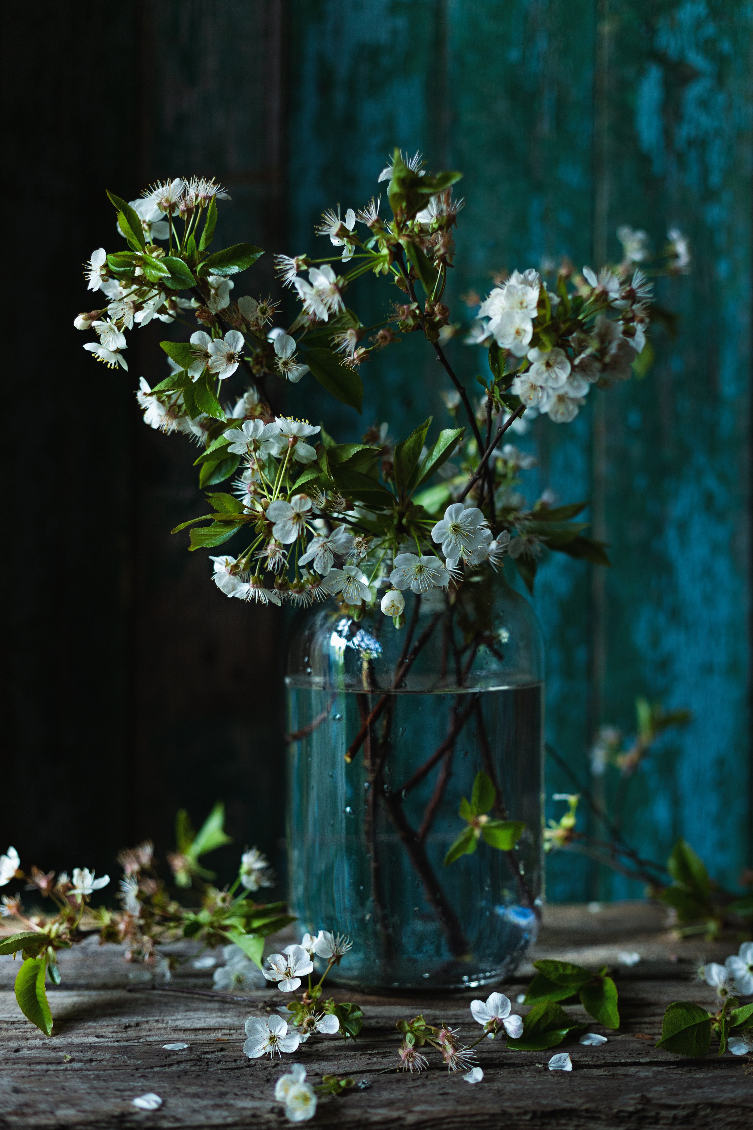 НАТЮРМОРТЫ