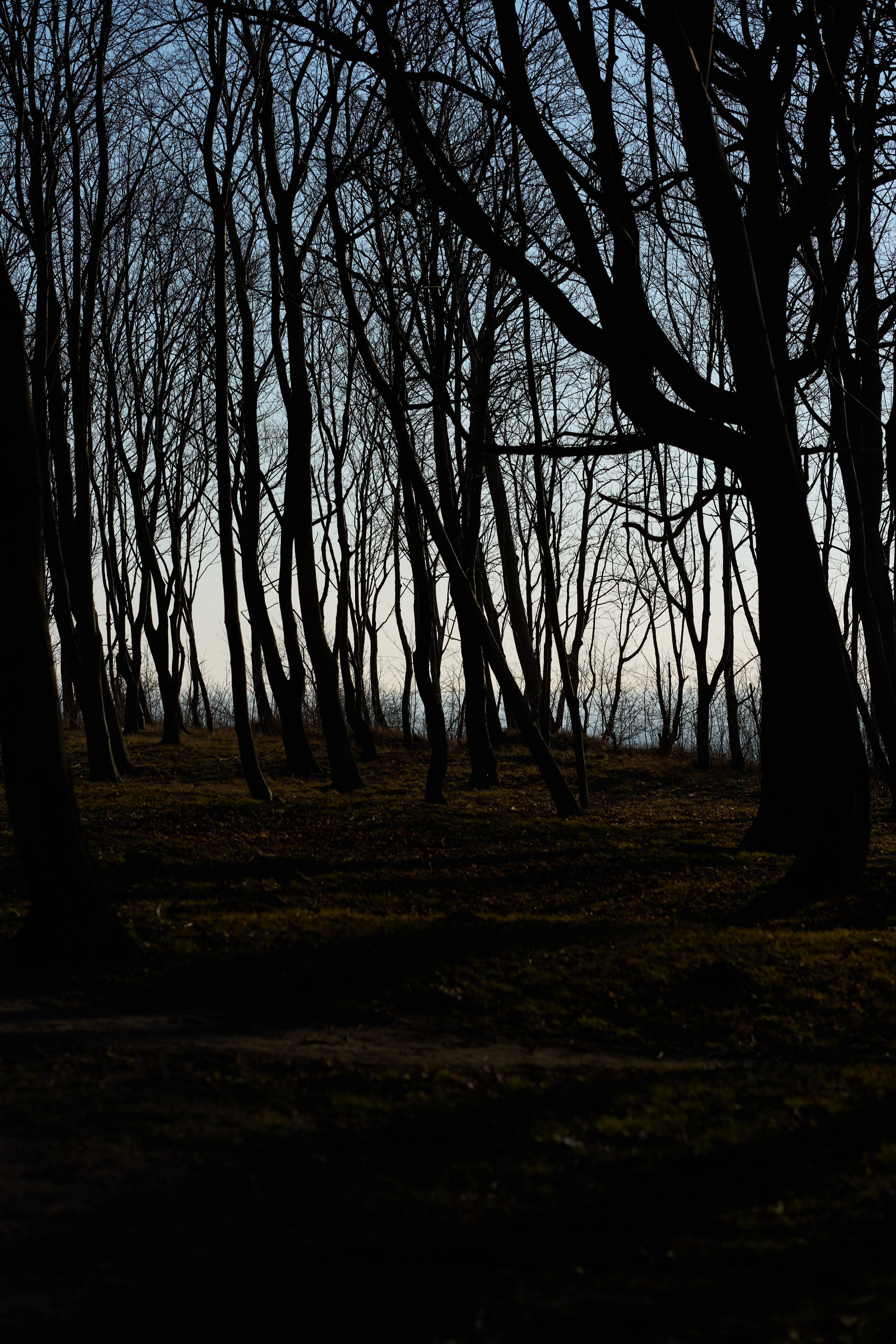 Янтарный. Фотограф в Москве Анастасия Баева
