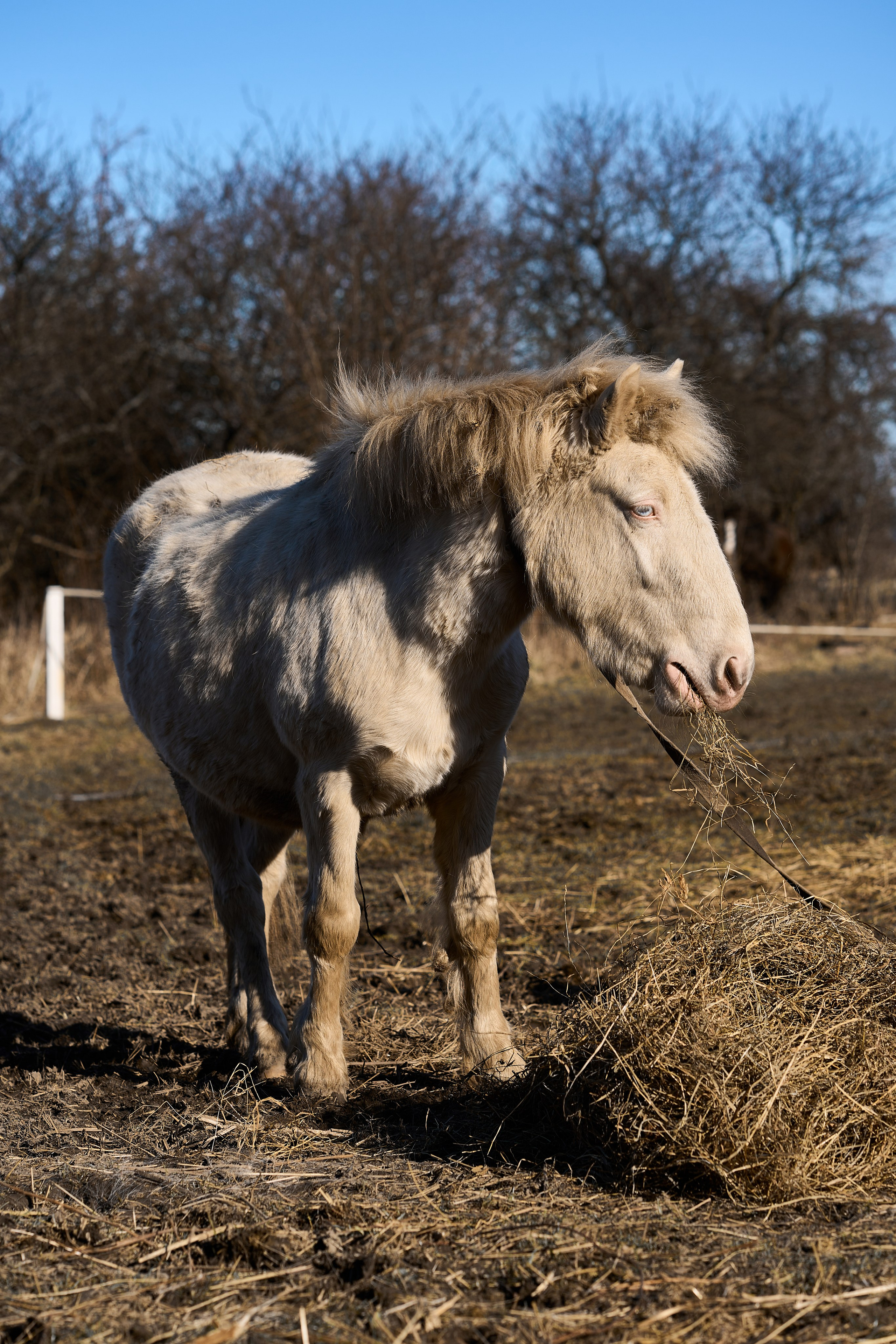 Балтийск. Фотограф в Москве Анастасия Баева