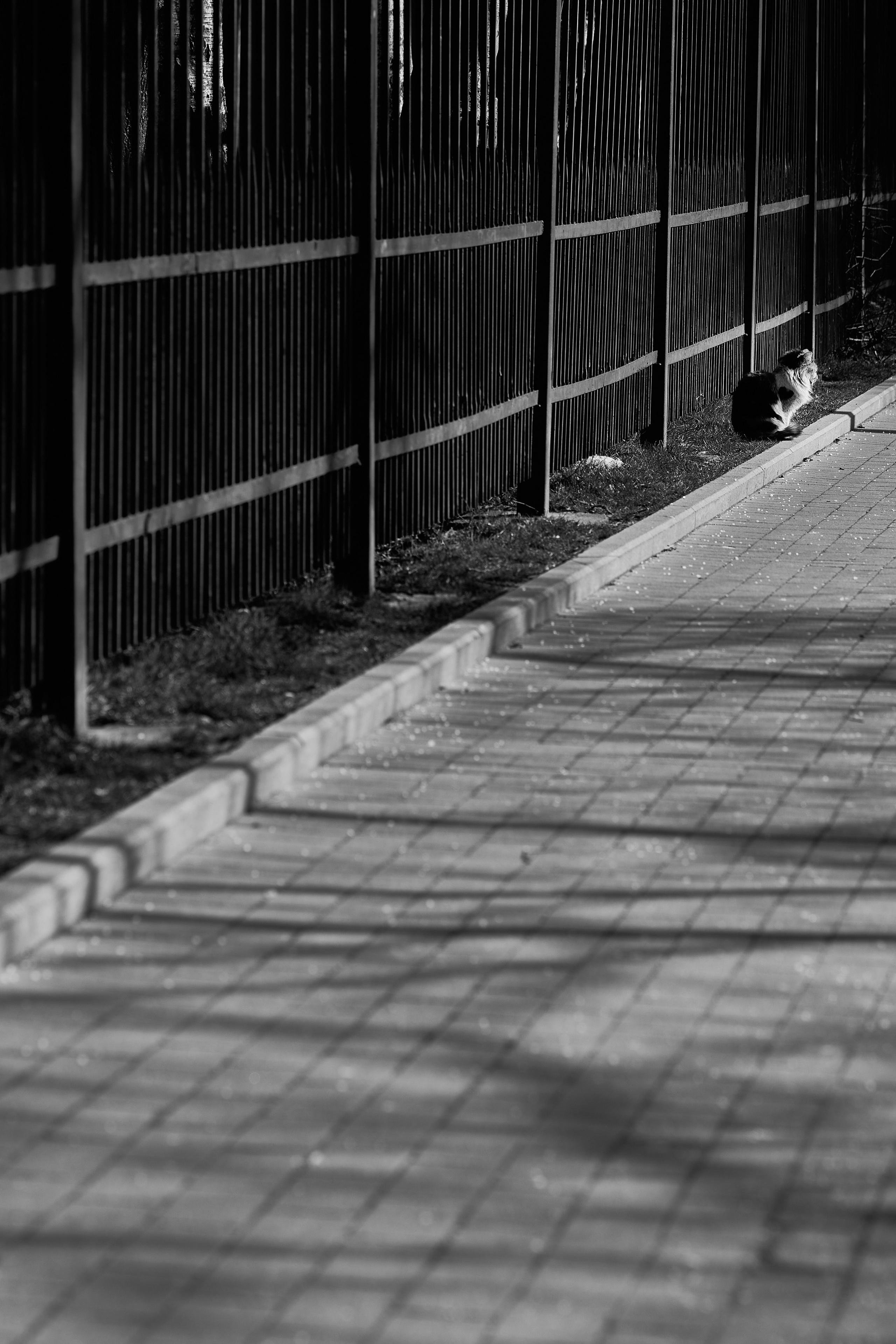 Центр города. Фотограф в Москве Анастасия Баева