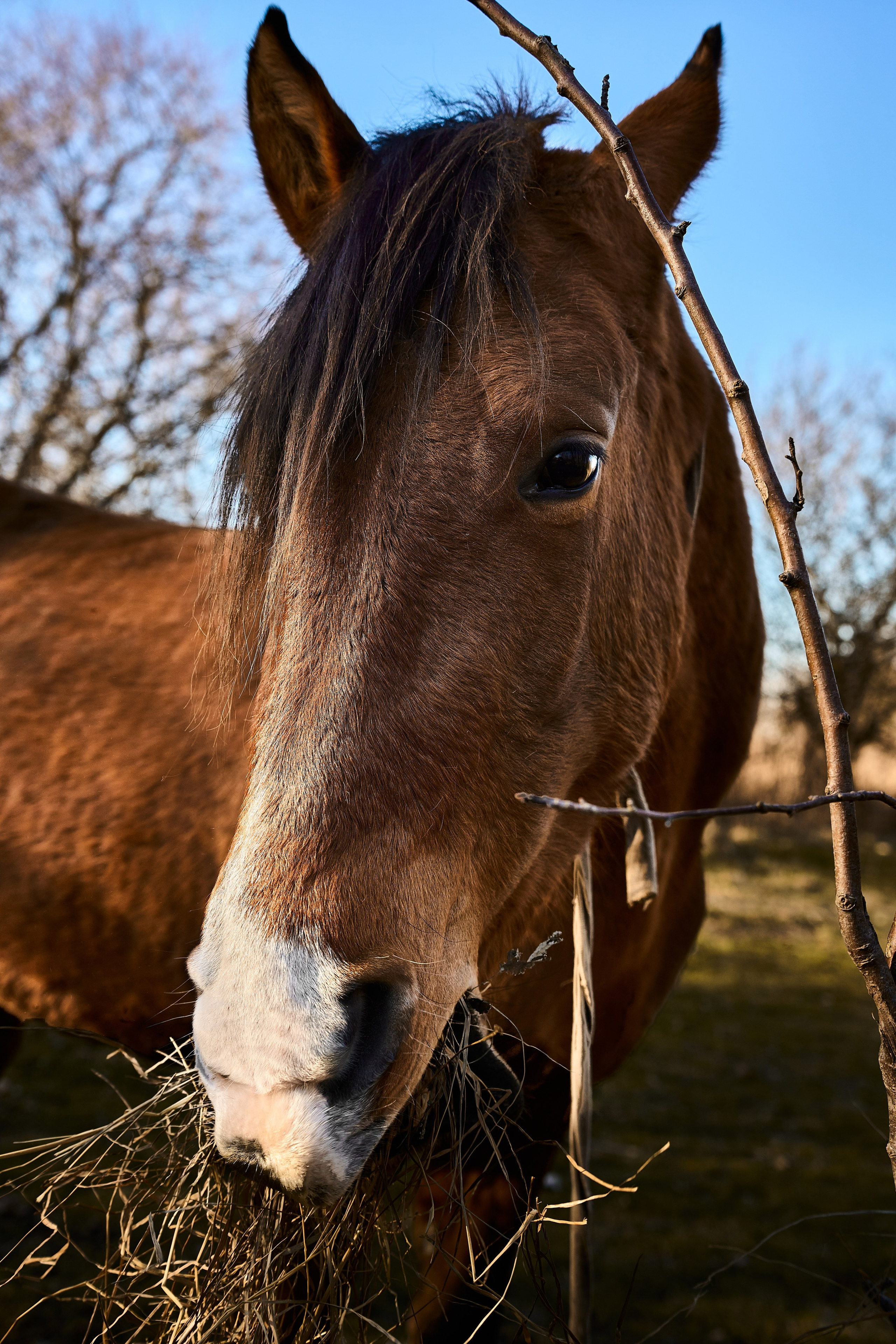 Балтийск. Фотограф в Москве Анастасия Баева