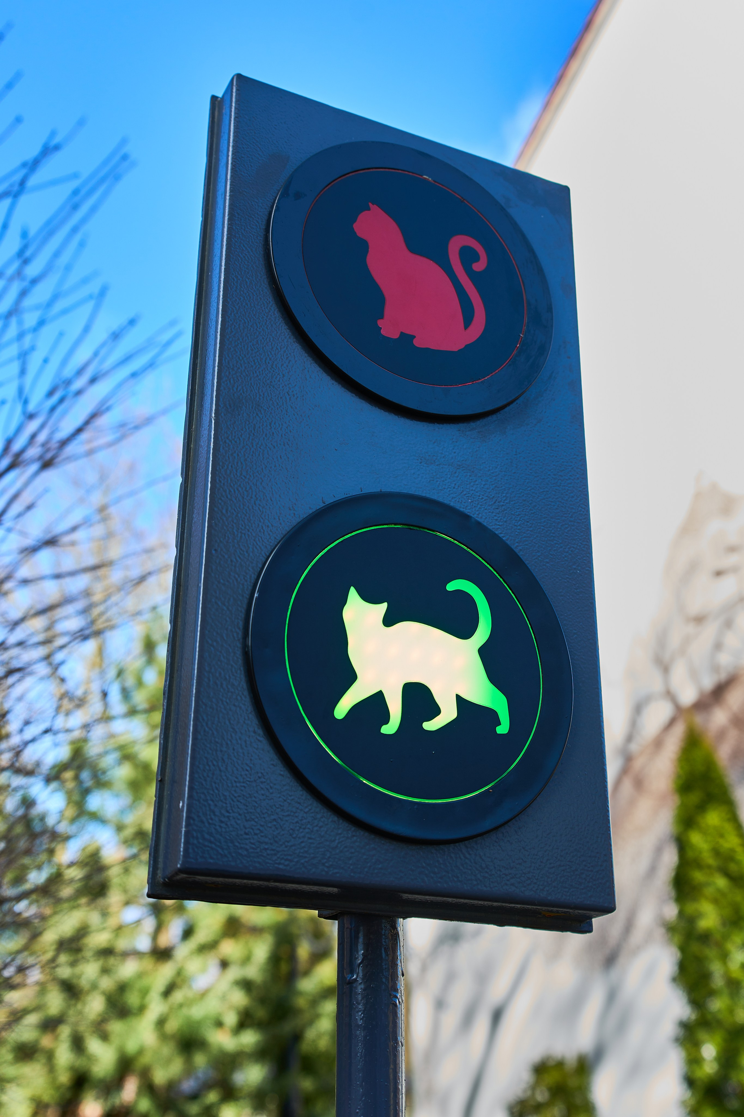 Центр города. Фотограф в Москве Анастасия Баева