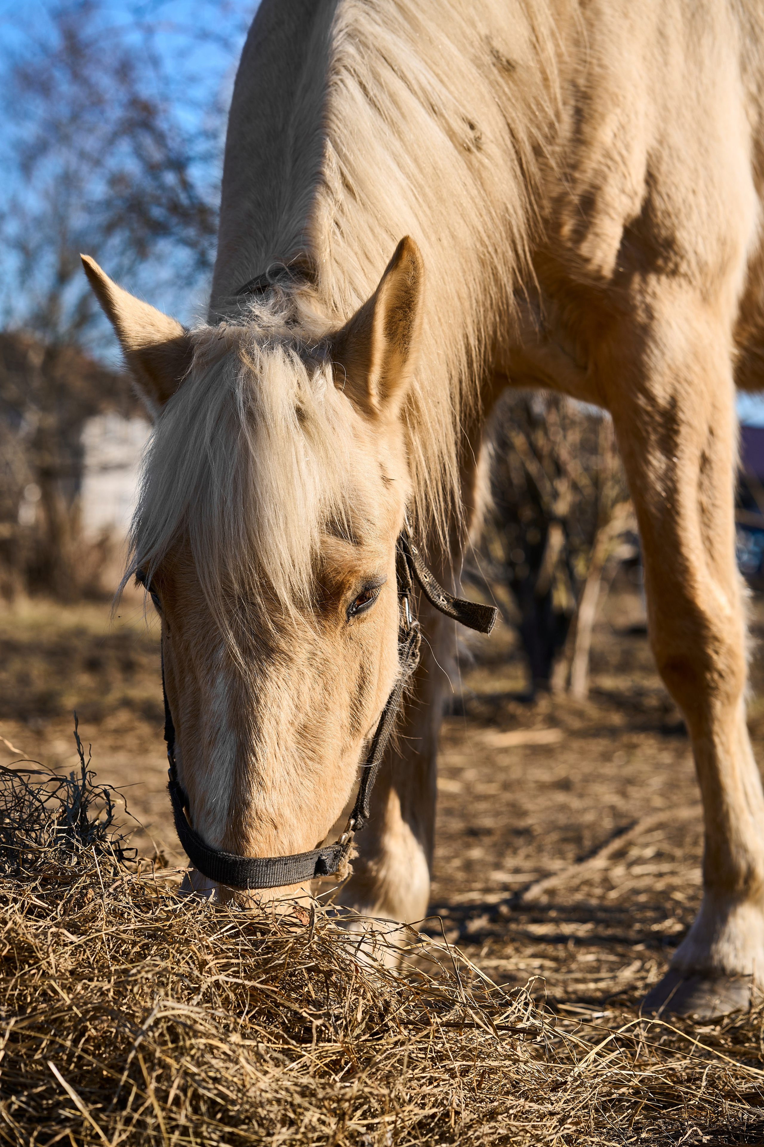 Балтийск. Фотограф в Москве Анастасия Баева