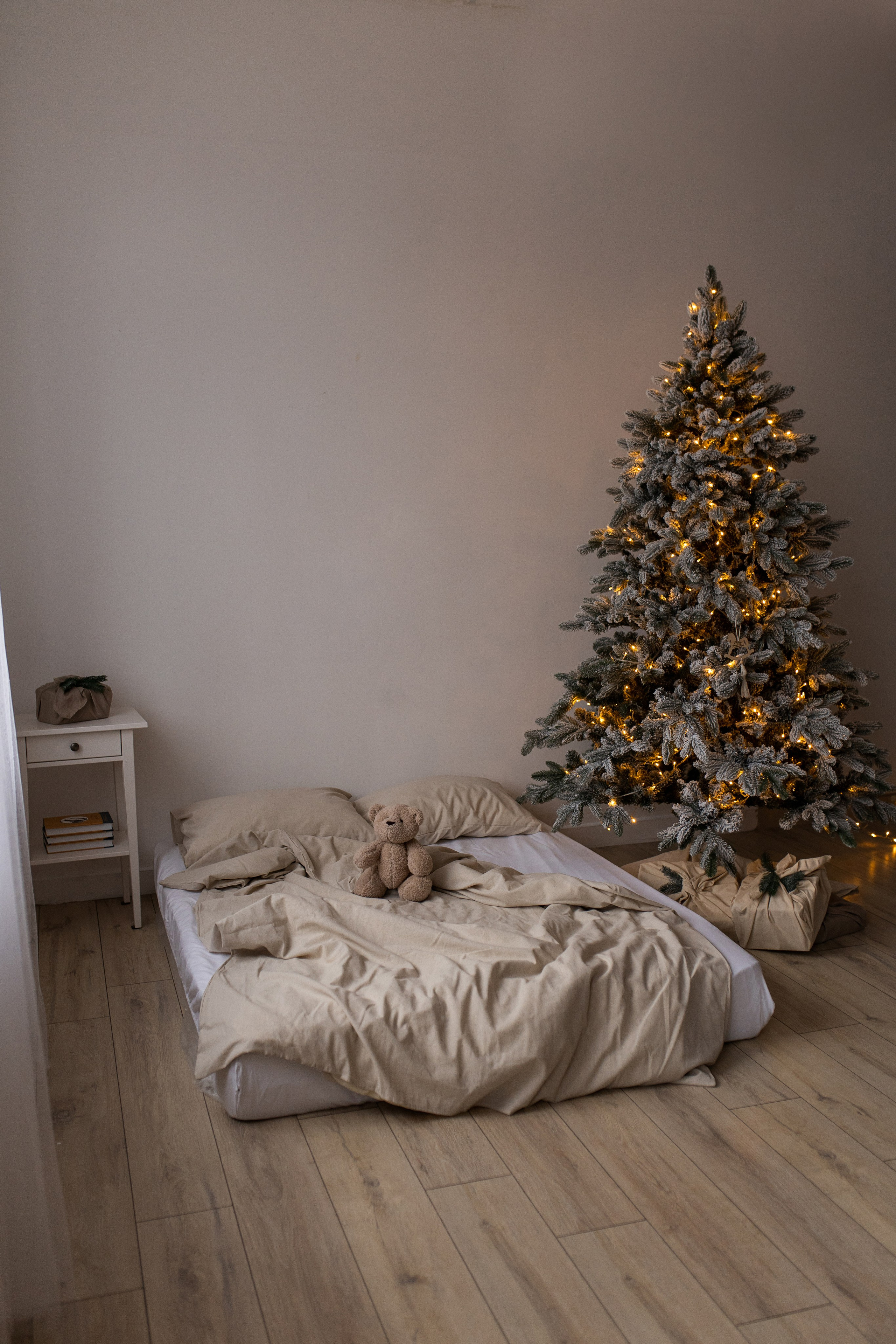 Новый год 2025 (семьи, индивидуальные, дети) (1). Семейный фотограф в Каневской Епифанова Ольга