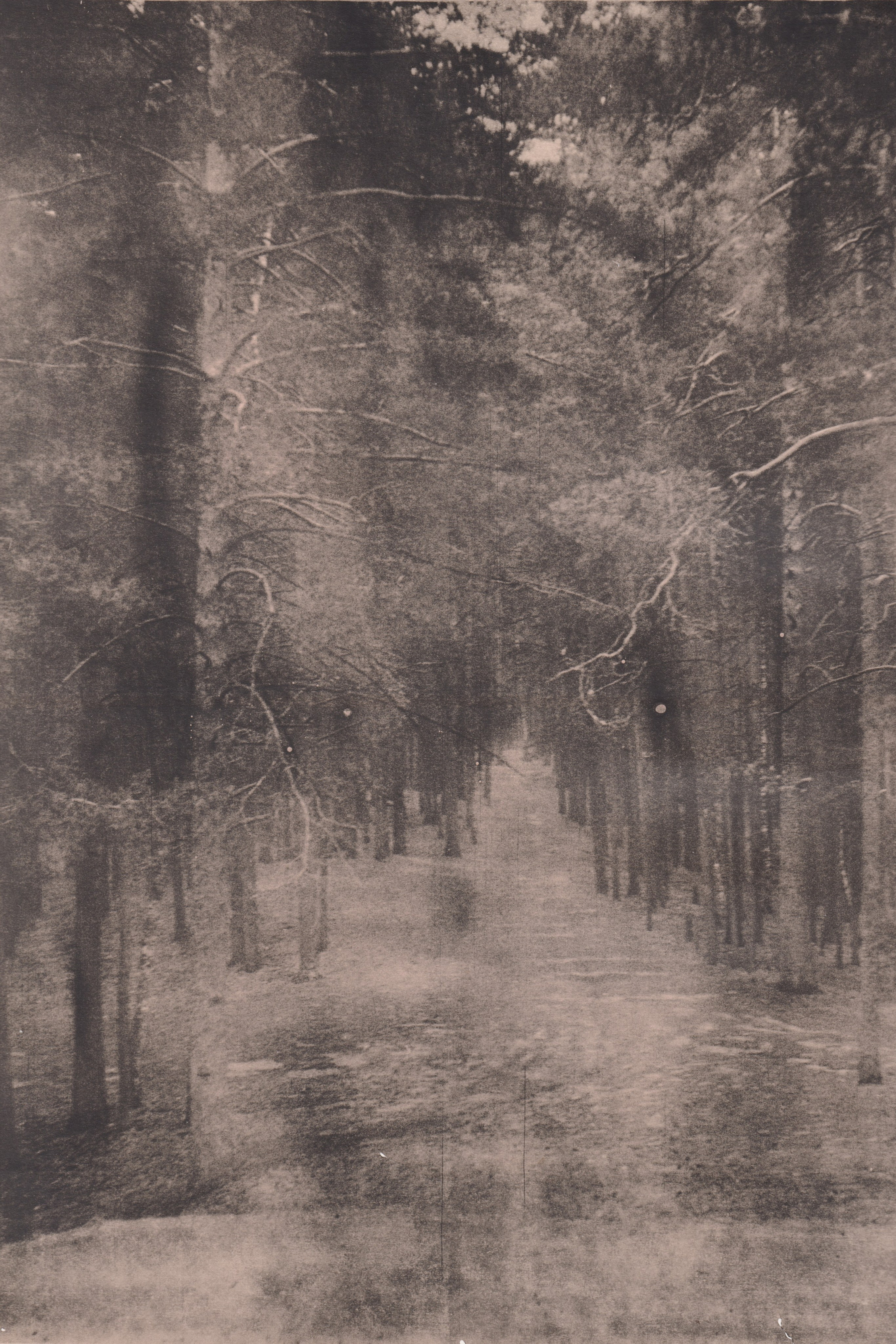 Ручные методы печати. Аналоговые отпечатки. Лит-печать. Татьяна Мищенко — фотохудожник. Междисциплинарный художник, основные медиумы: фотография, графика, коллаж. Портретный фотограф город Дубна