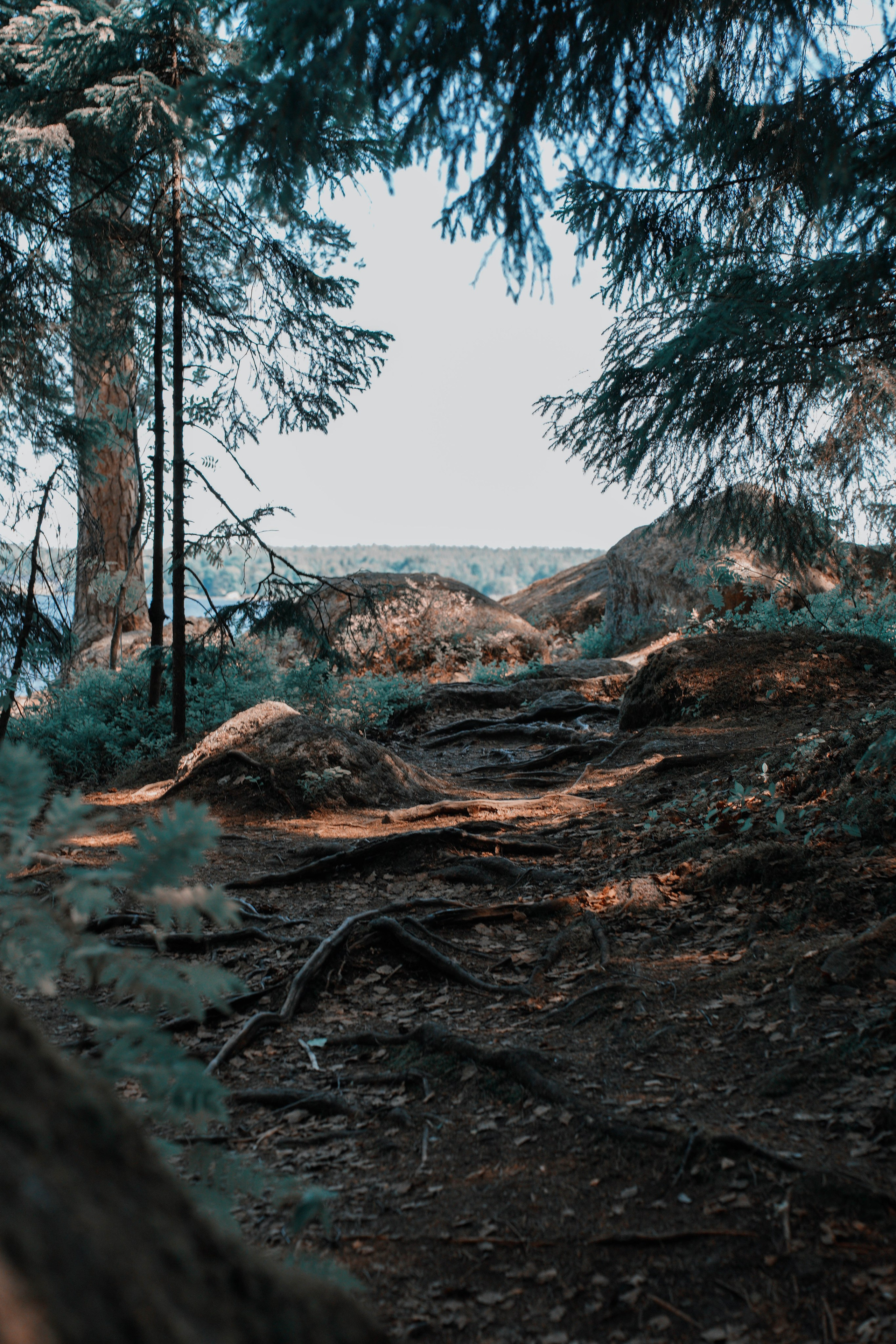 Катя Шиня. Фотограф из Москвы — DASHA NOVA | Авторская фотография в разных жанрах