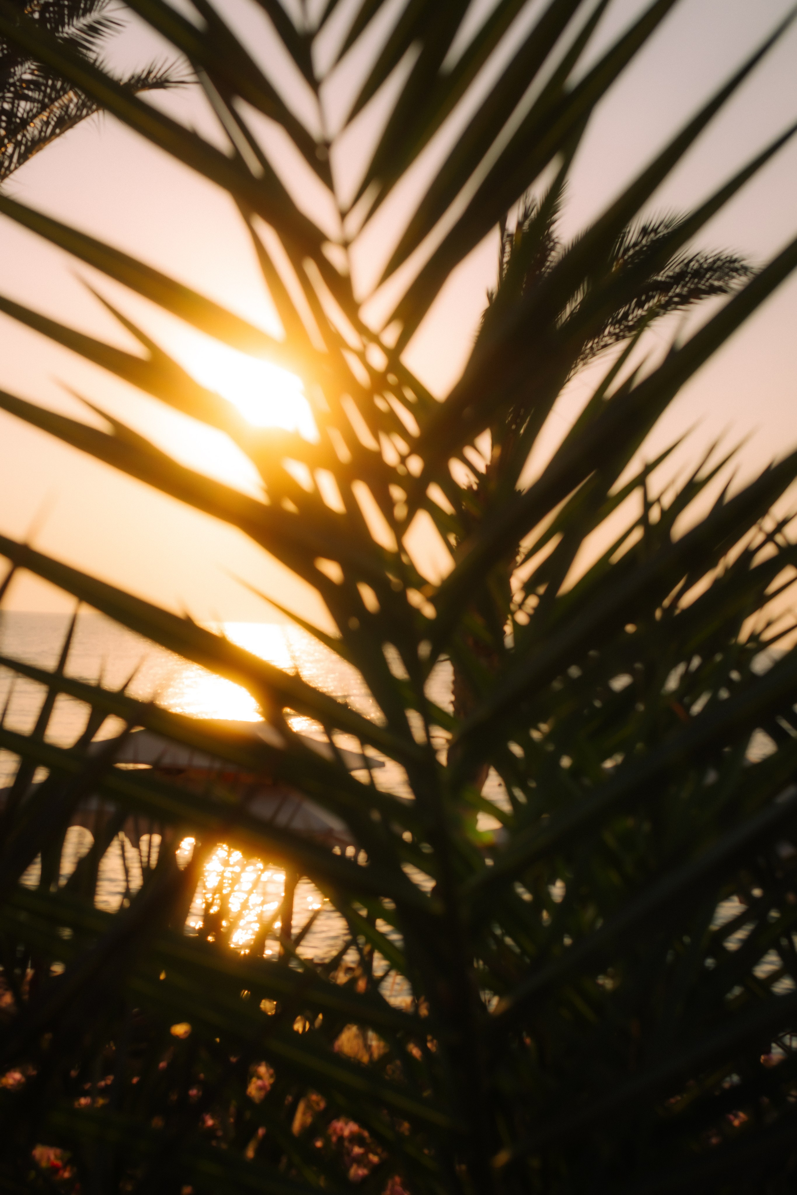 Фотограф Николай Шевченко