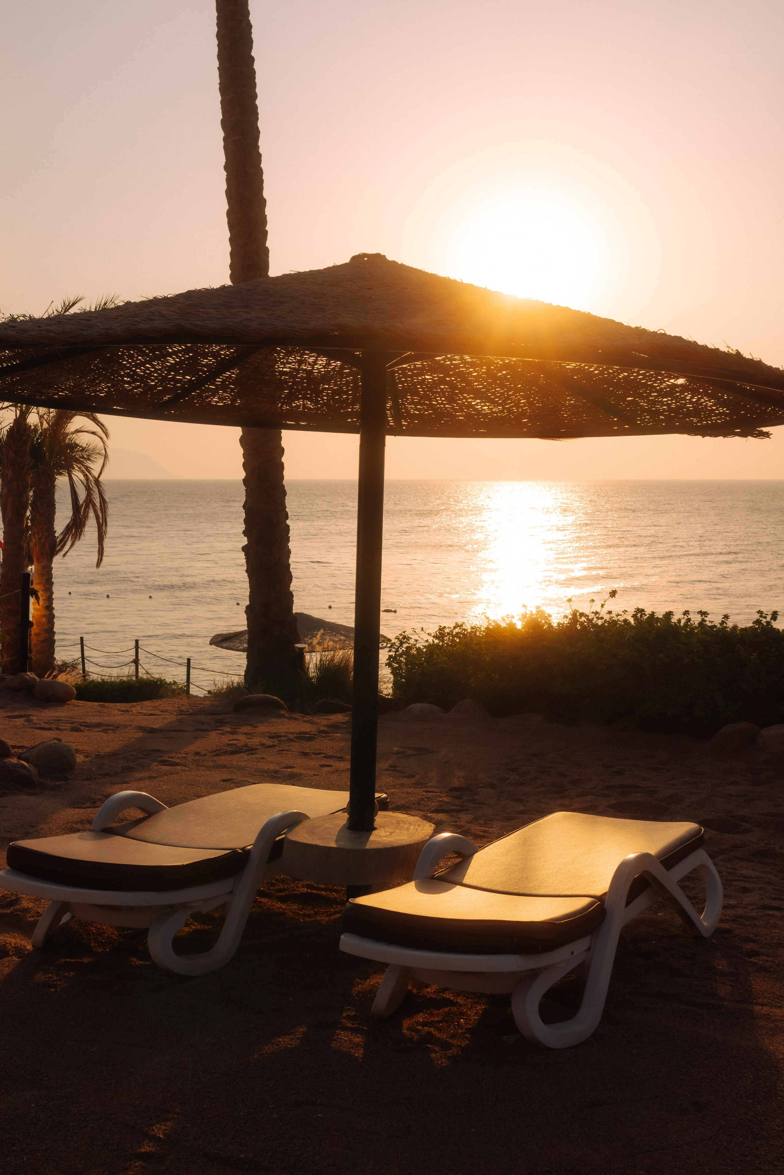 Фотограф Николай Шевченко