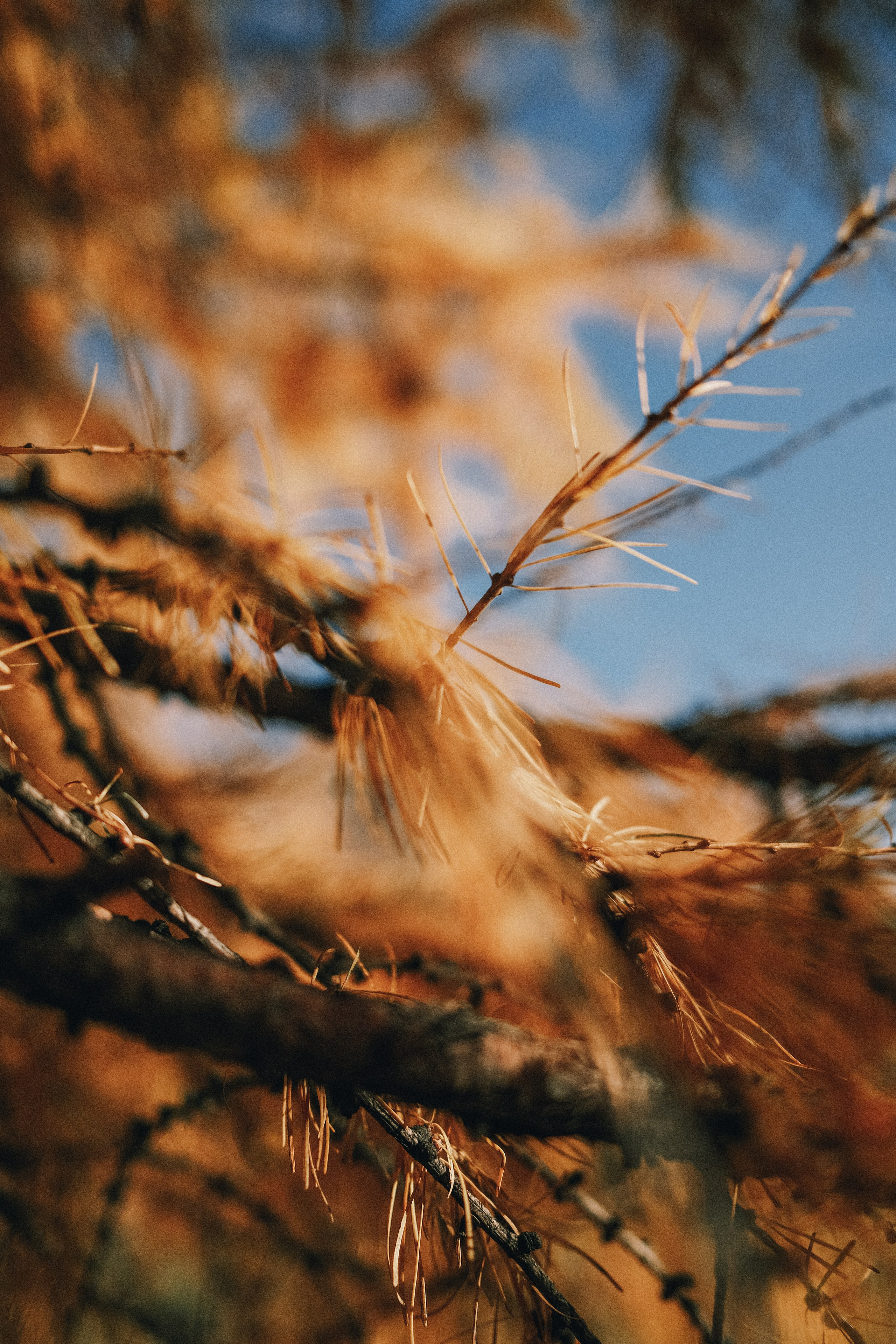 «Если мы понравимся Богу, то станем самореализованными». Аня Степанова