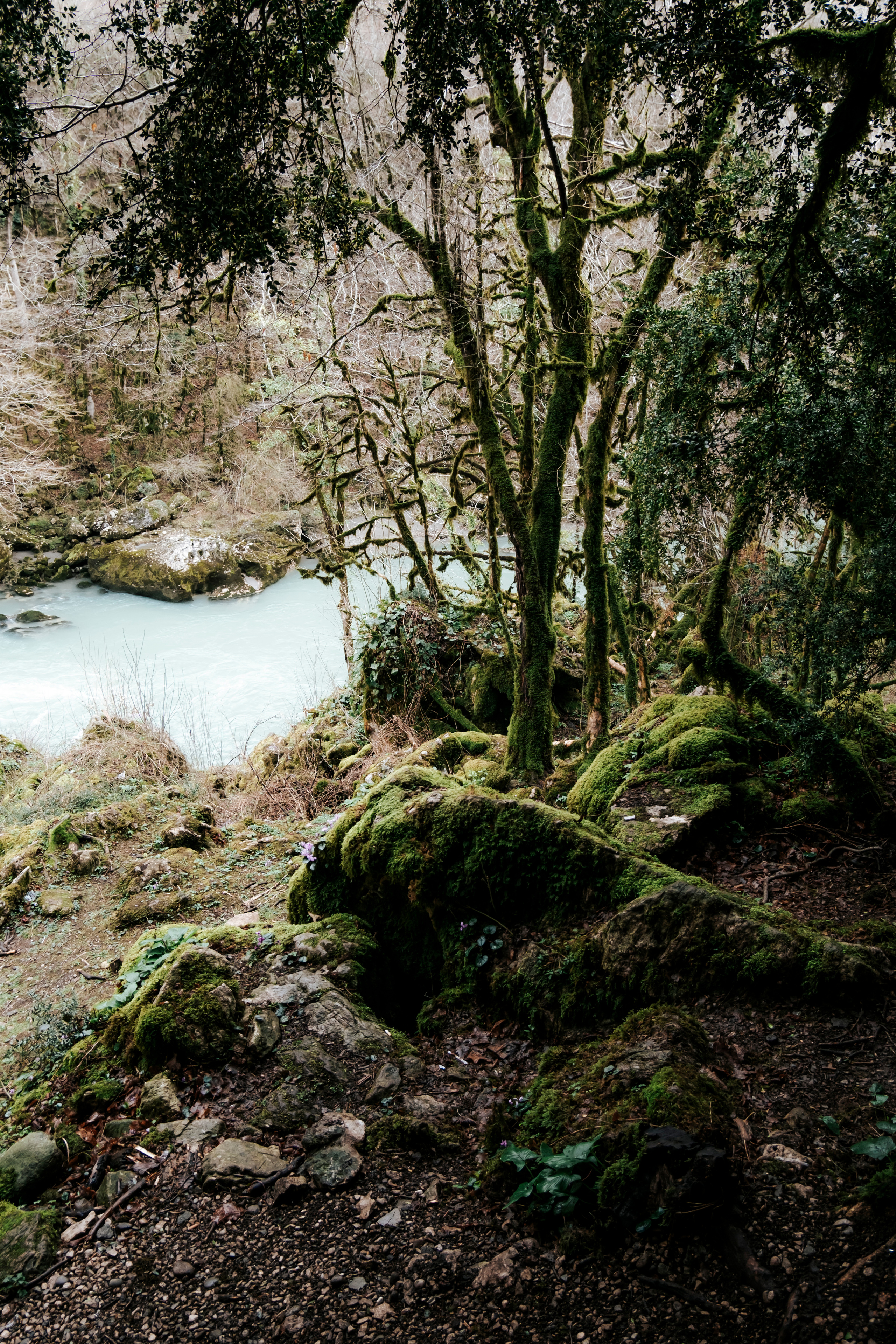 Абхазия (март 2021)