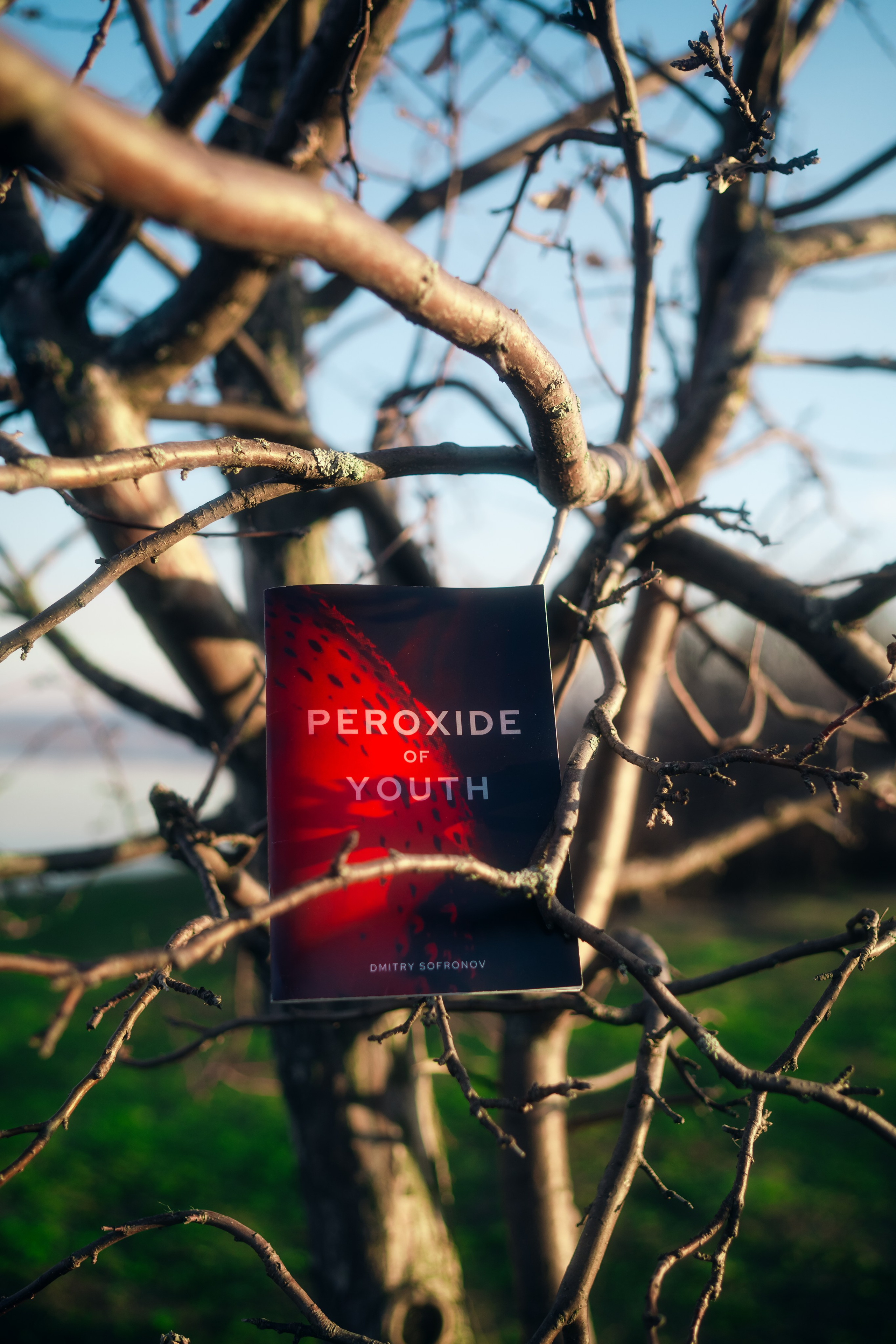 Розыгрыш моих книг!. Felixtones