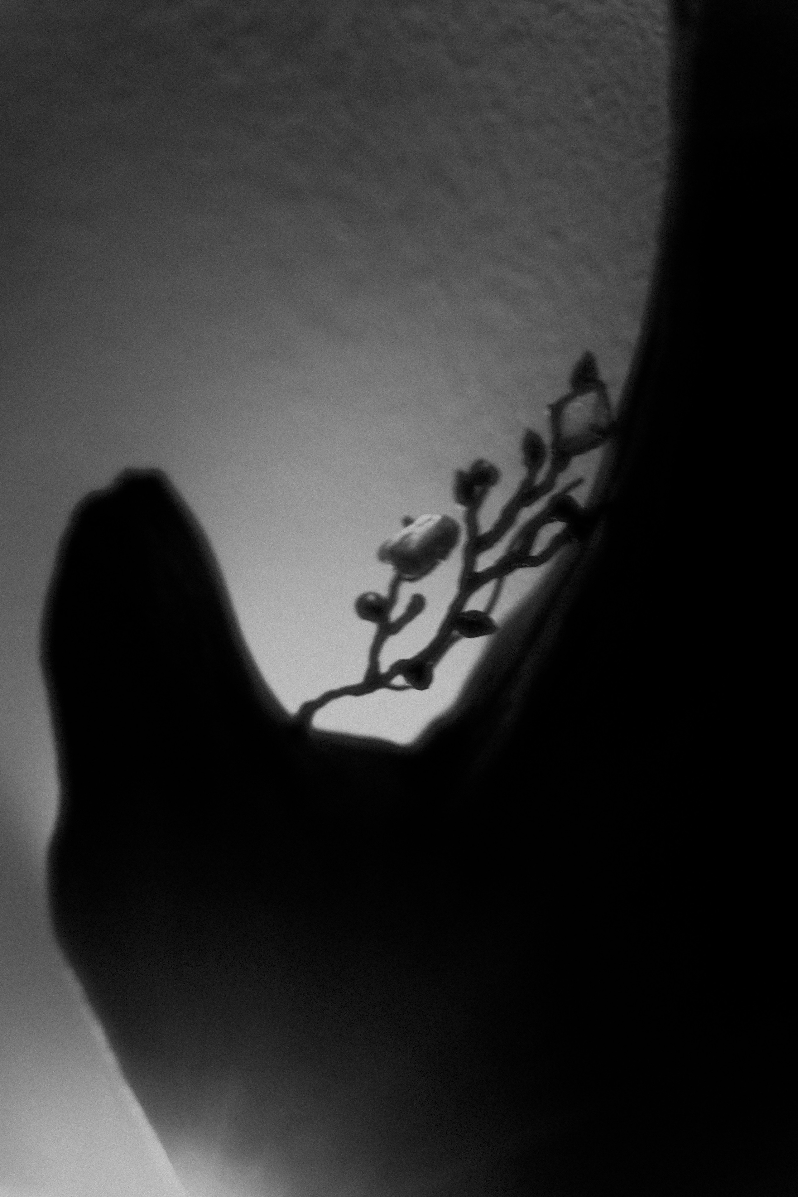 Контент. Фотограф Иркутск