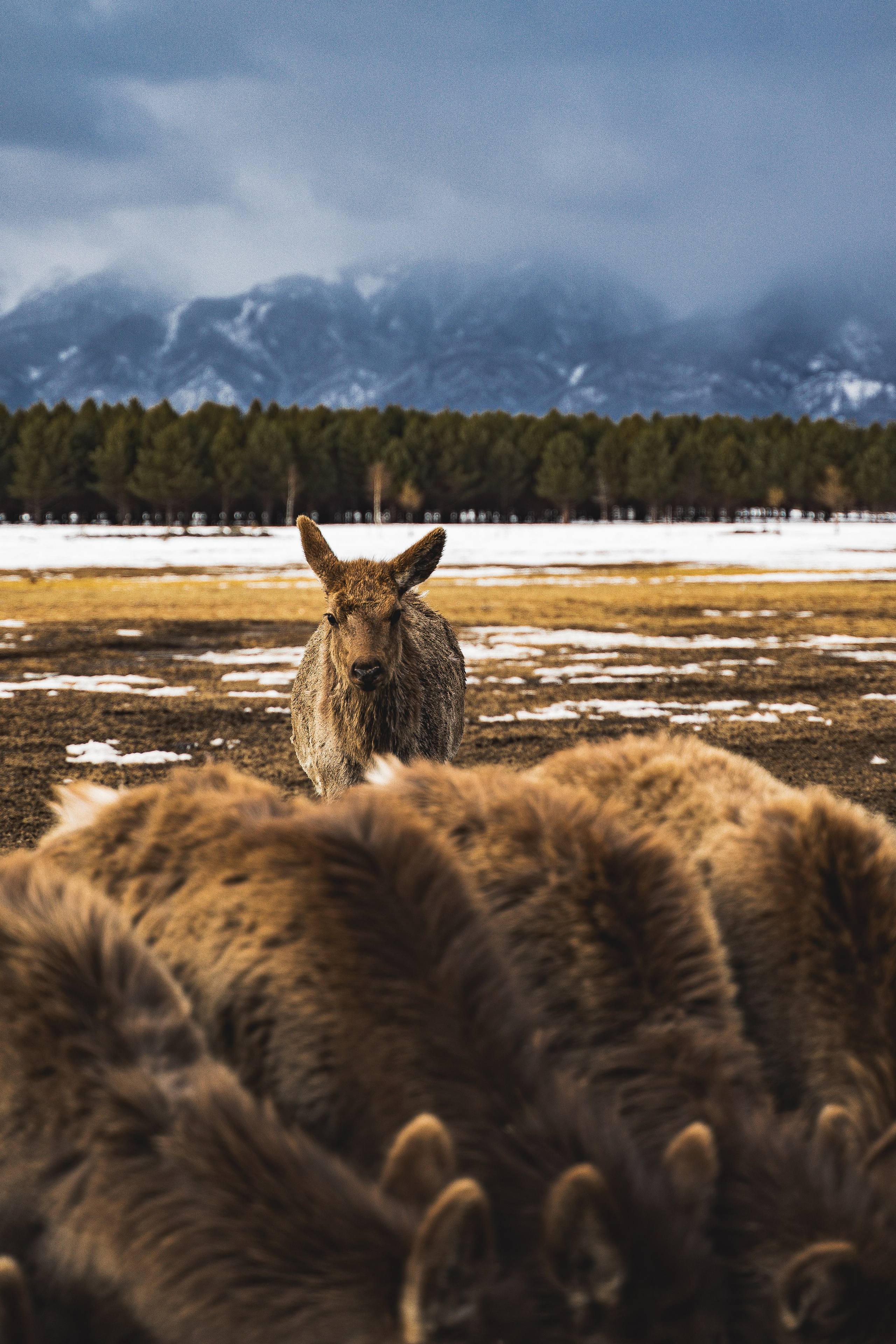 Выбираем гида для похода в горы. Фотограф Ольга Пучкова