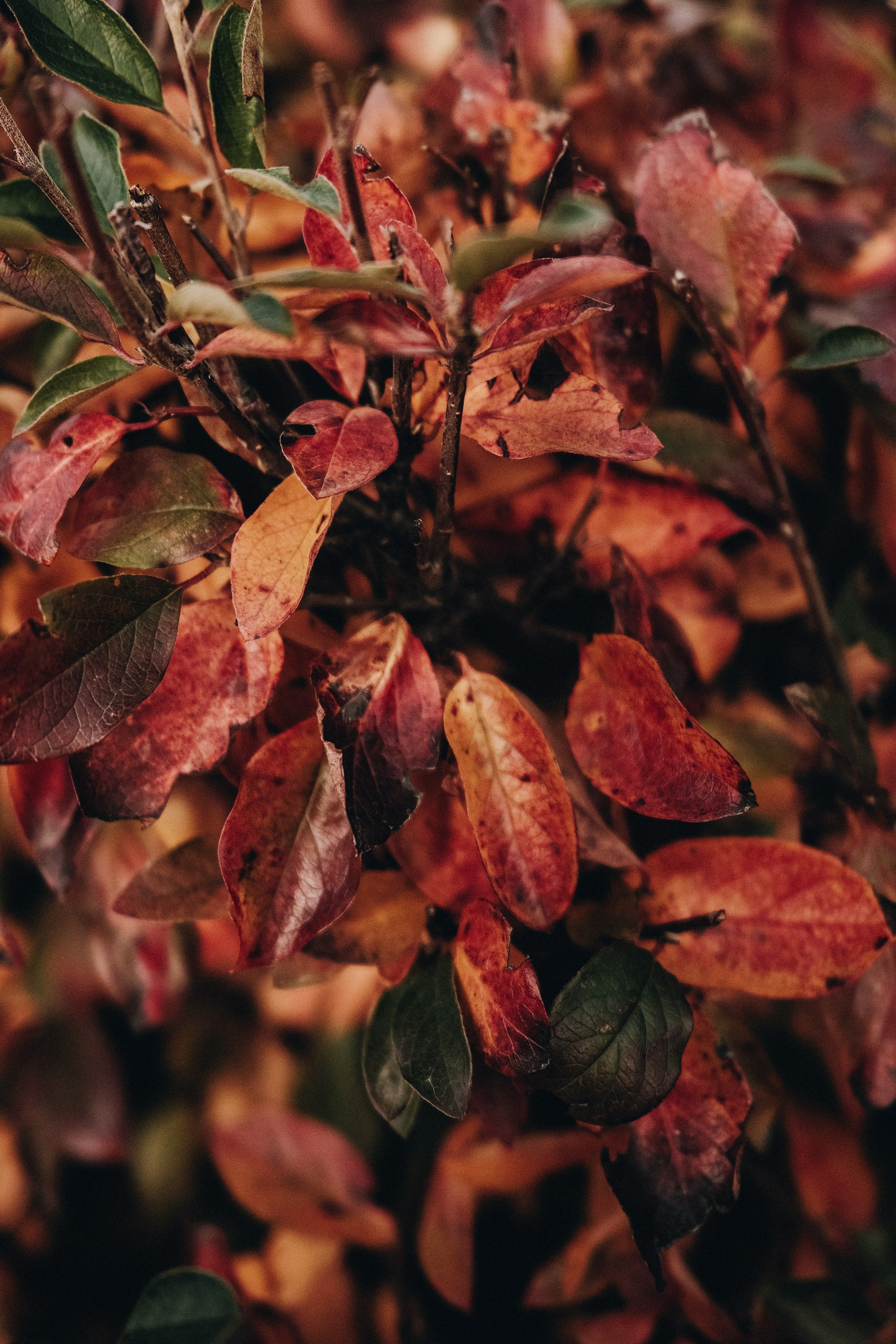 Вернуть себя себе. Аня Степанова