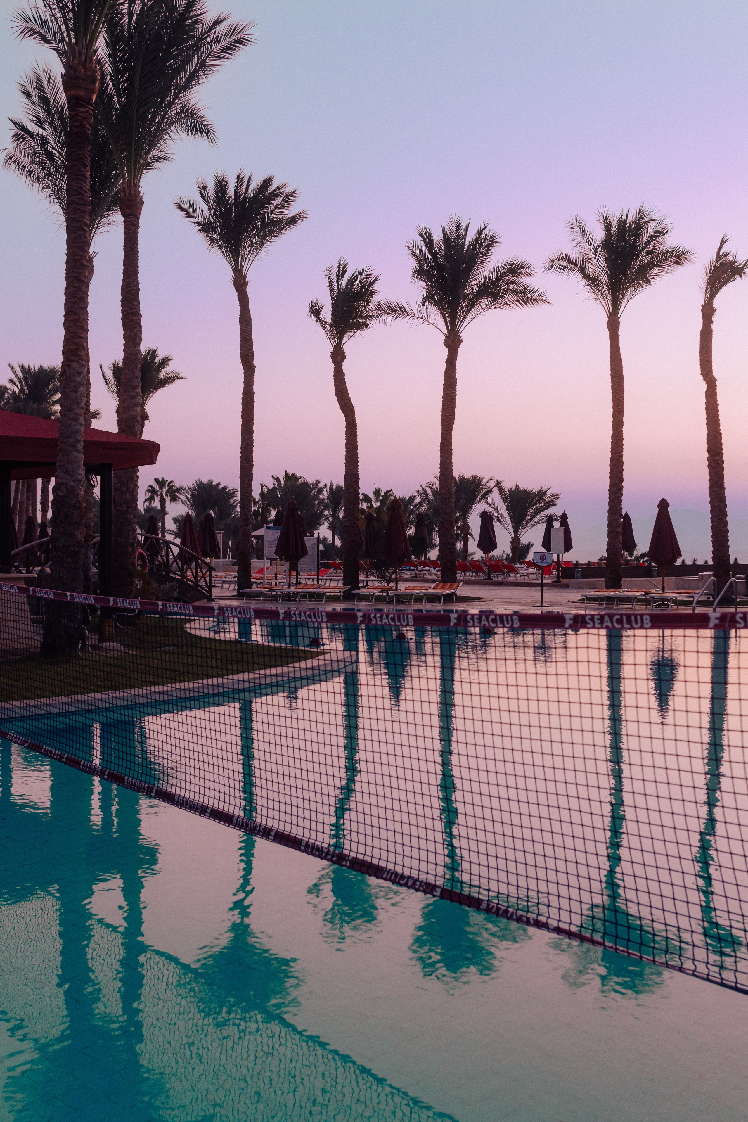 Фотограф Николай Шевченко