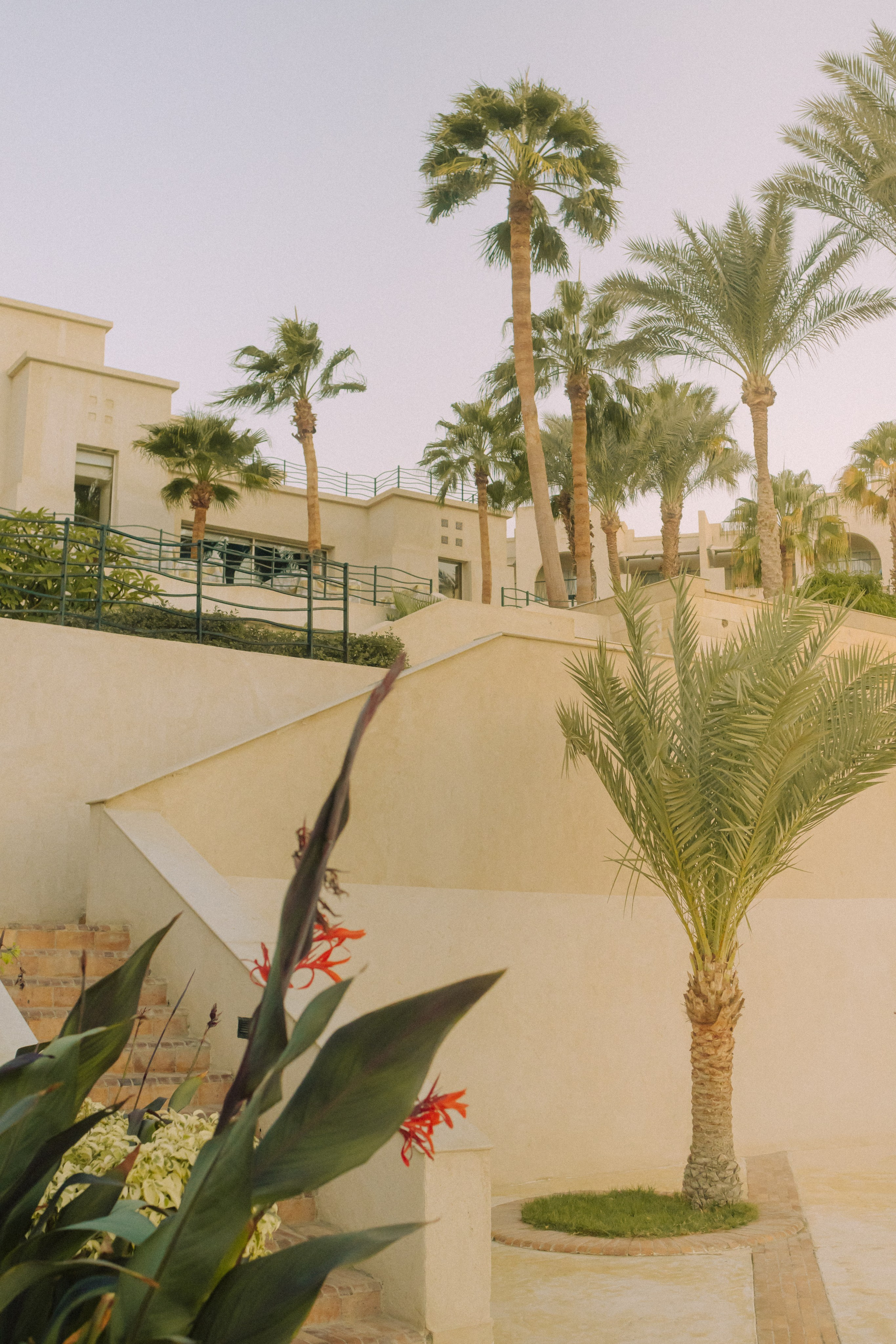 Фотограф Николай Шевченко